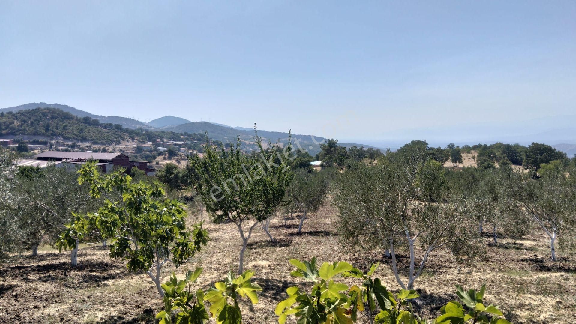Artı Emlak'tan Havran Hallaçlar'da Satılık 6.550 M2 Tarla - Görsel 19