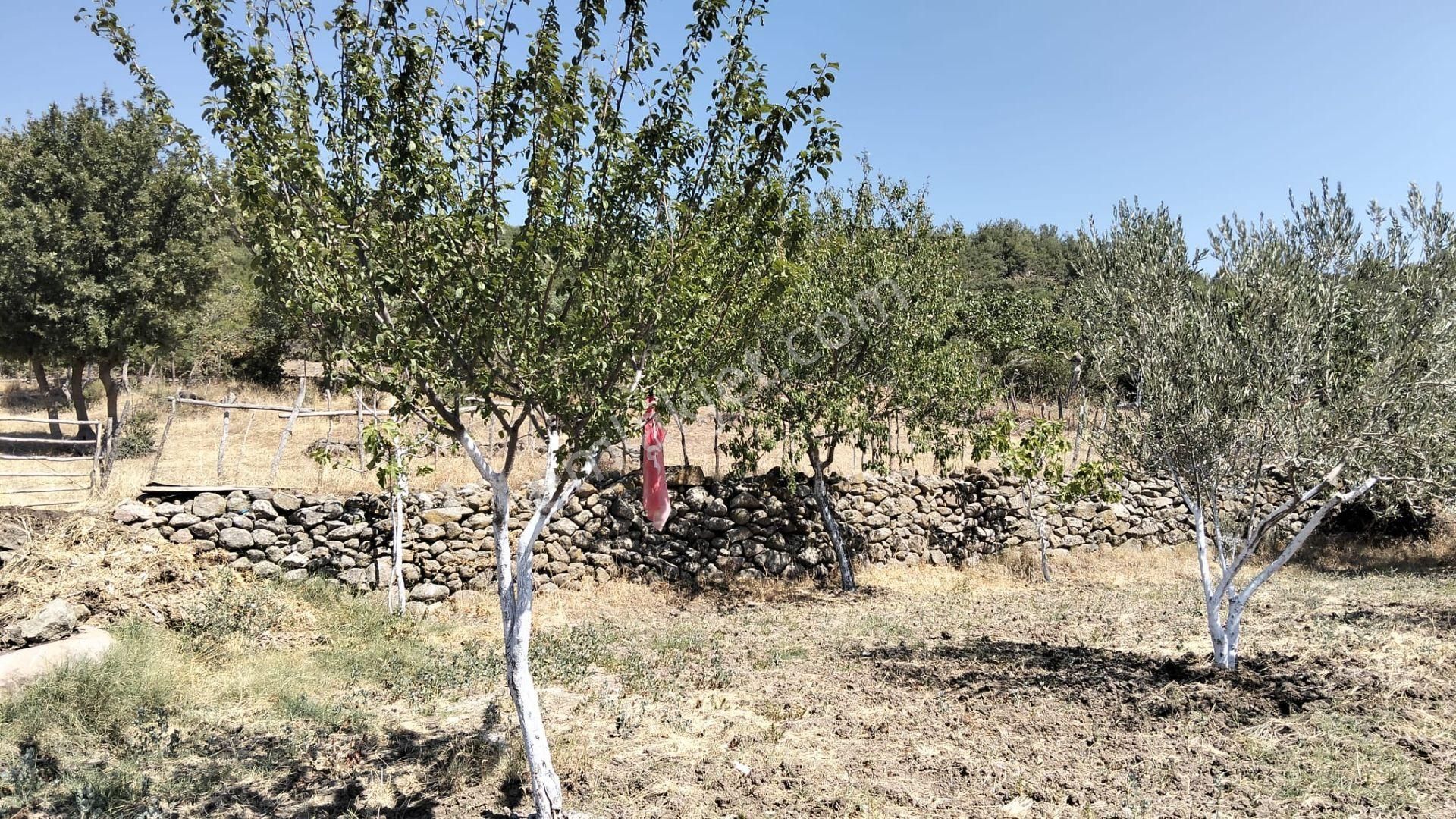 Artı Emlak'tan Havran Hallaçlar'da Satılık 6.550 M2 Tarla - Görsel 13