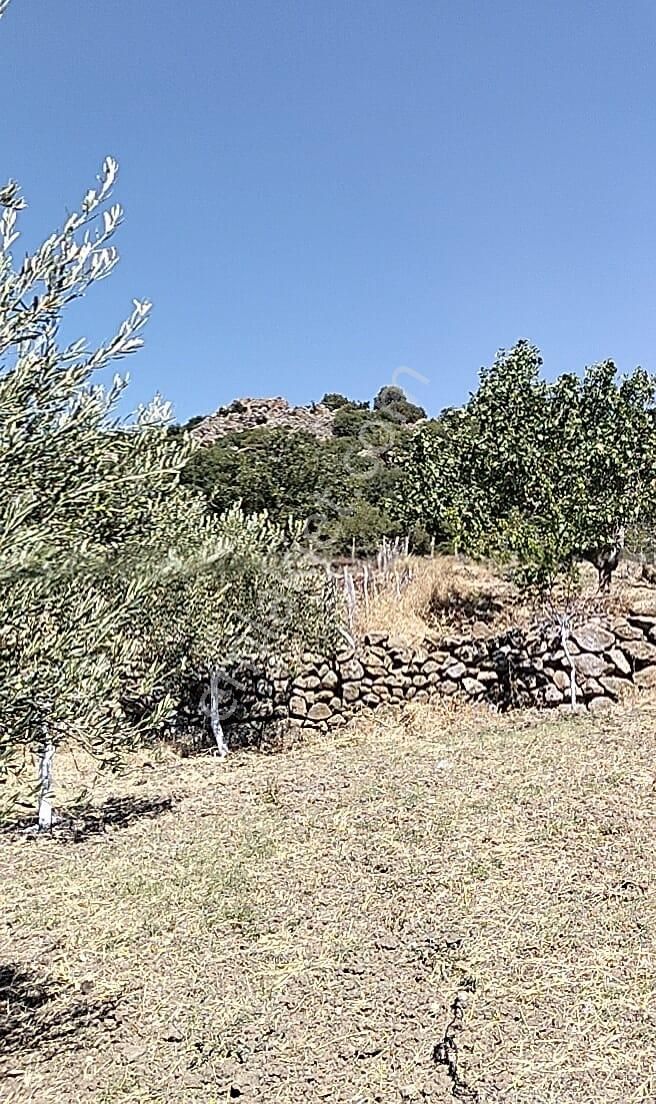 Artı Emlak'tan Havran Hallaçlar'da Satılık 6.550 M2 Tarla - Görsel 12