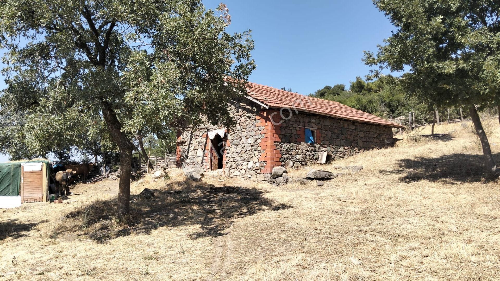 Artı Emlak'tan Havran Hallaçlar'da Satılık 6.550 M2 Tarla - Görsel 14