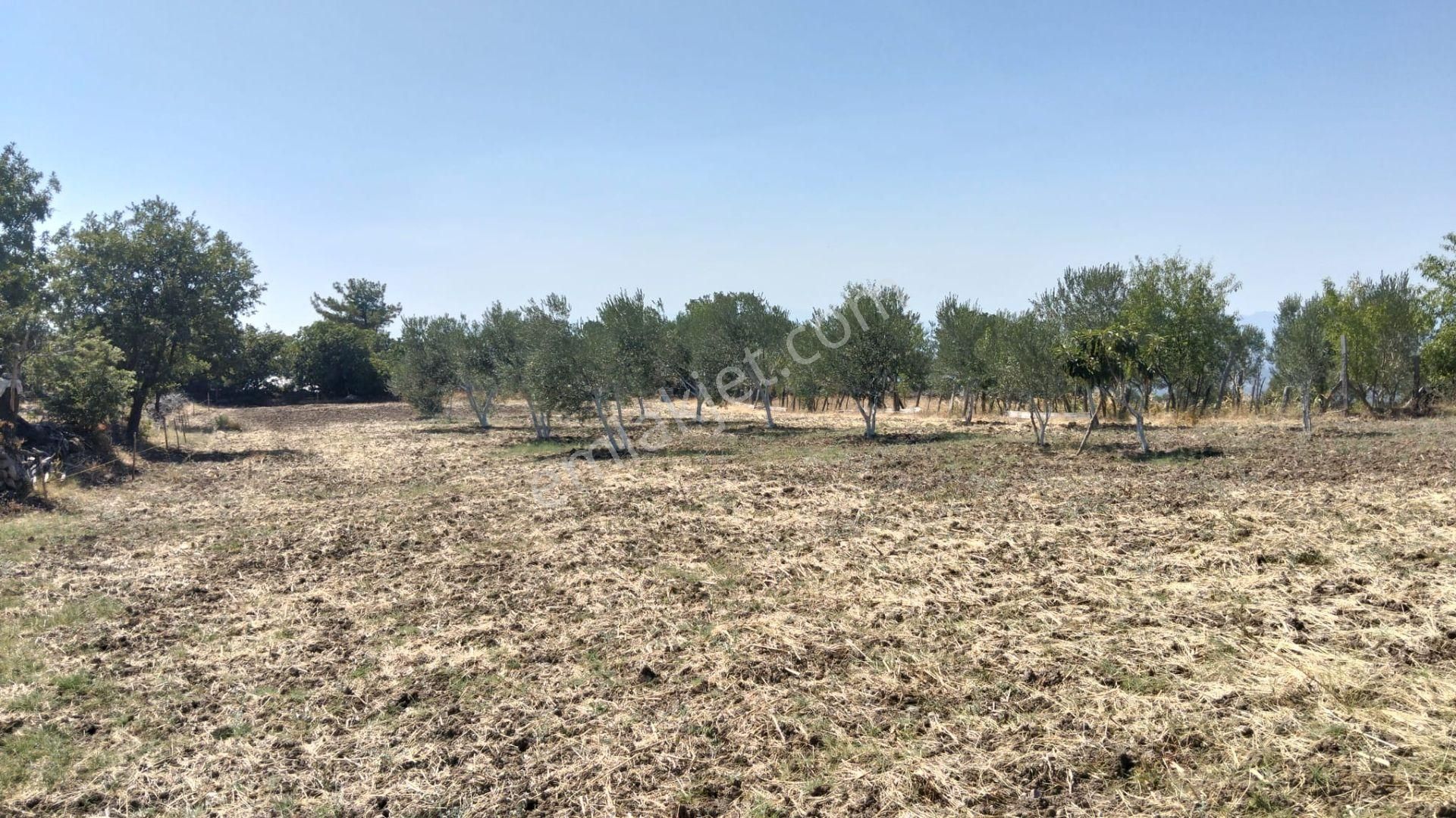 Artı Emlak'tan Havran Hallaçlar'da Satılık 6.550 M2 Tarla - Görsel 6