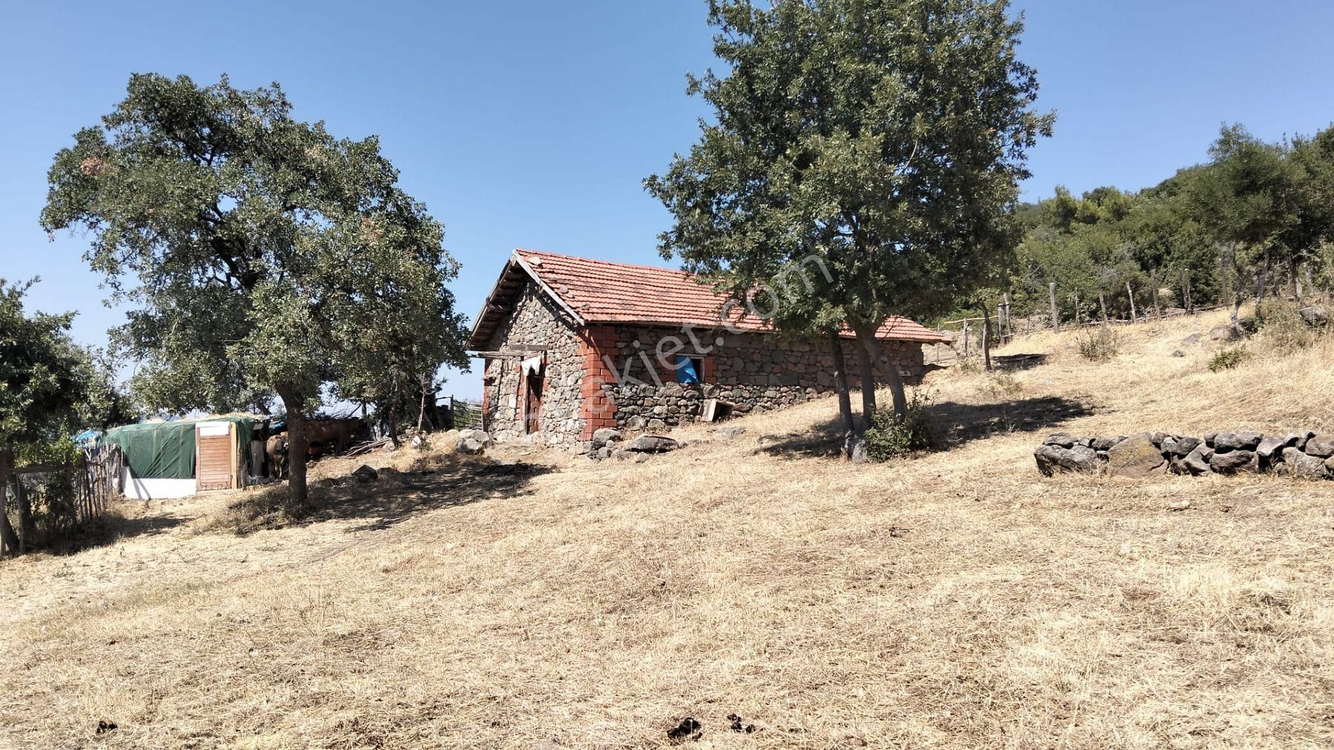 Artı Emlak'tan Havran Hallaçlar'da Satılık 6.550 M2 Tarla - Görsel 15