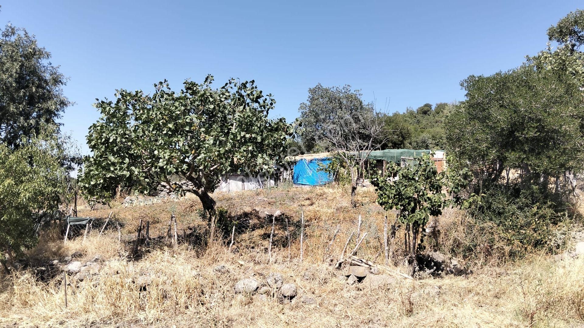 Artı Emlak'tan Havran Hallaçlar'da Satılık 6.550 M2 Tarla - Görsel 10