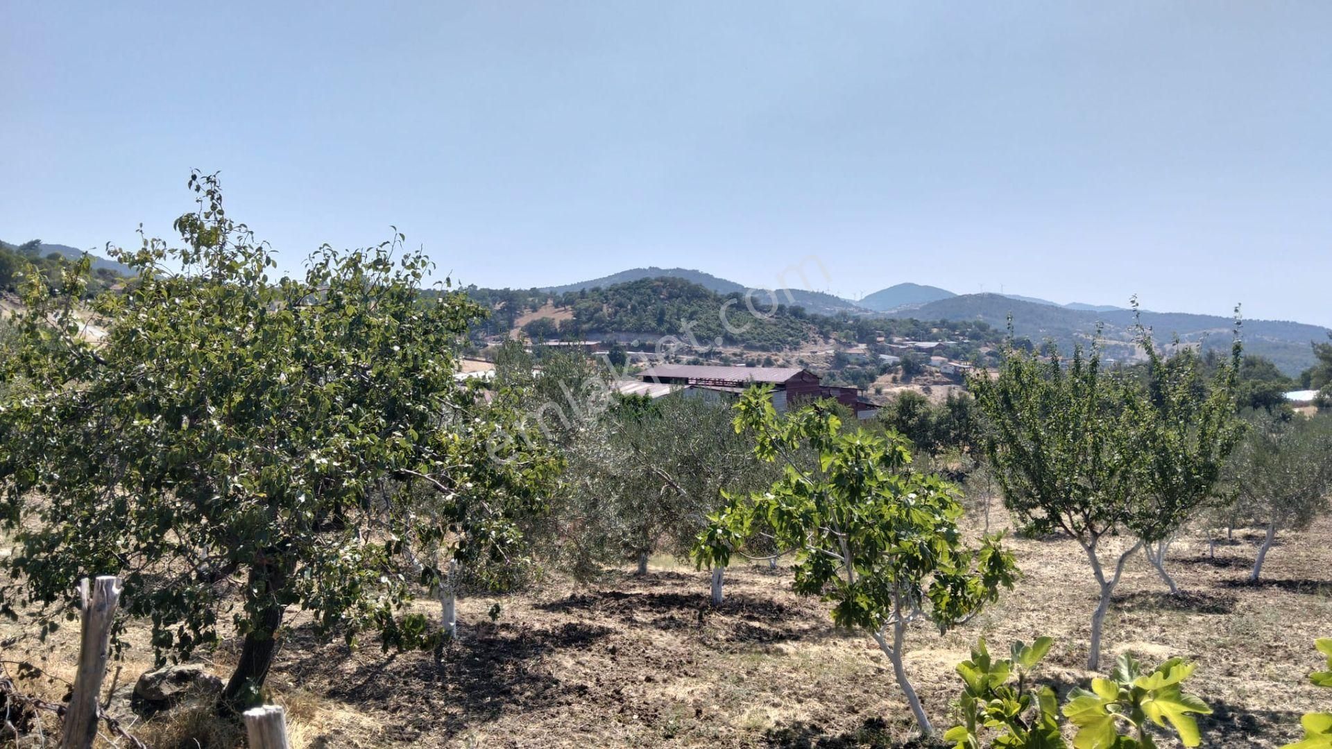 Artı Emlak'tan Havran Hallaçlar'da Satılık 6.550 M2 Tarla - Görsel 18