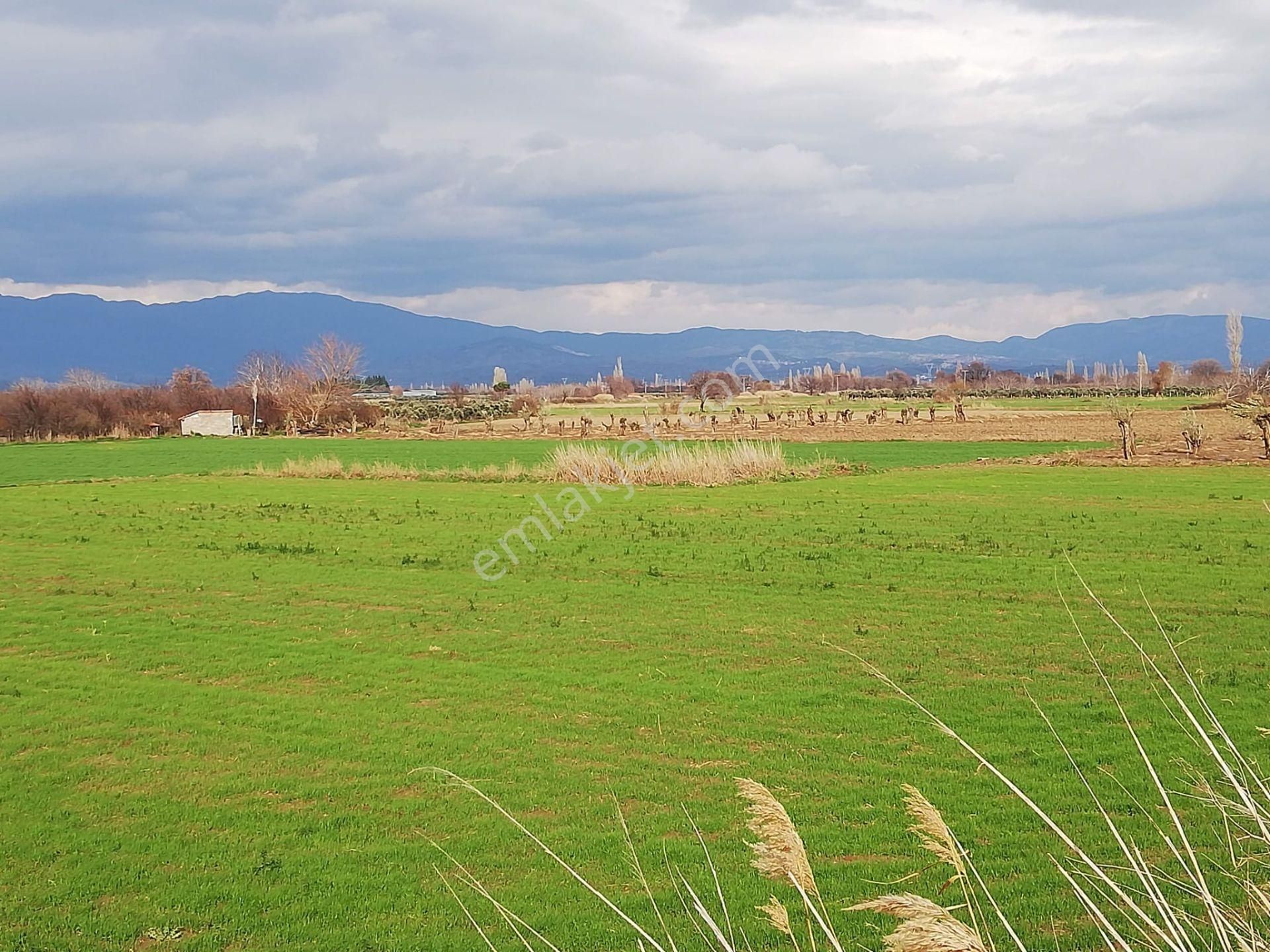 Artı Emlak'tan Burhaniye Börezli'de Satılık 11.000 M2 Tarla - Görsel 5