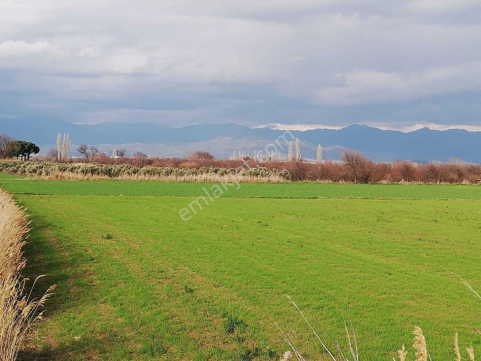 Artı Emlak'tan Burhaniye Börezli'de Satılık 11.000 M2 Tarla - Görsel 6