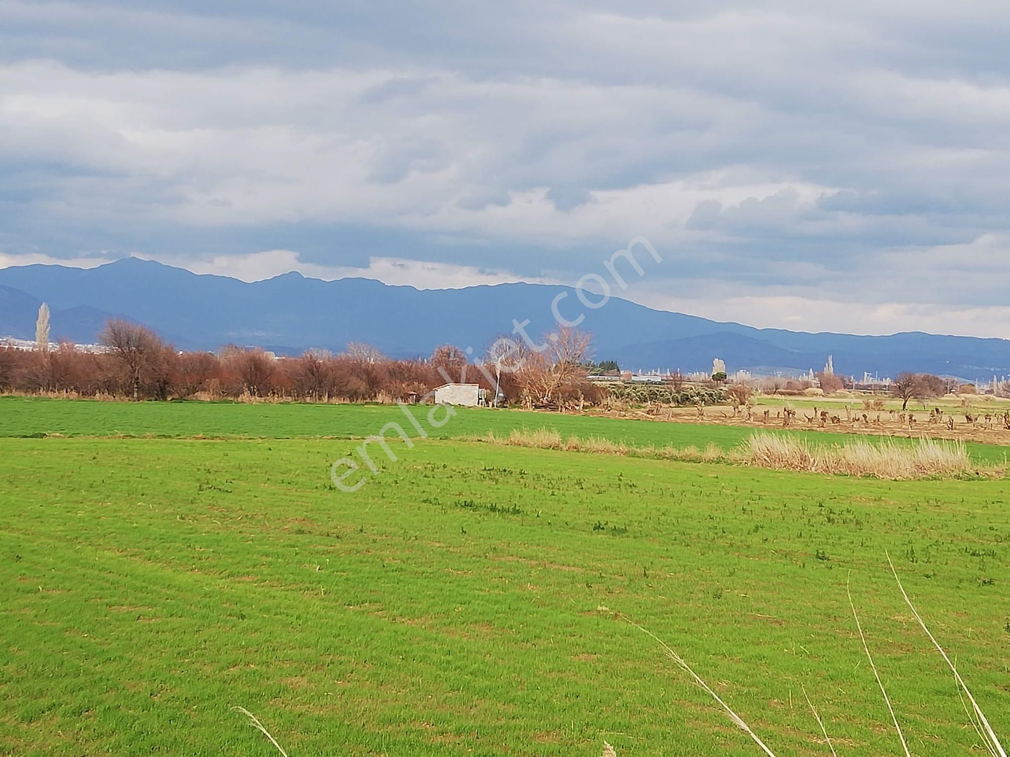 Artı Emlak'tan Burhaniye Börezli'de Satılık 11.000 M2 Tarla - Görsel 2