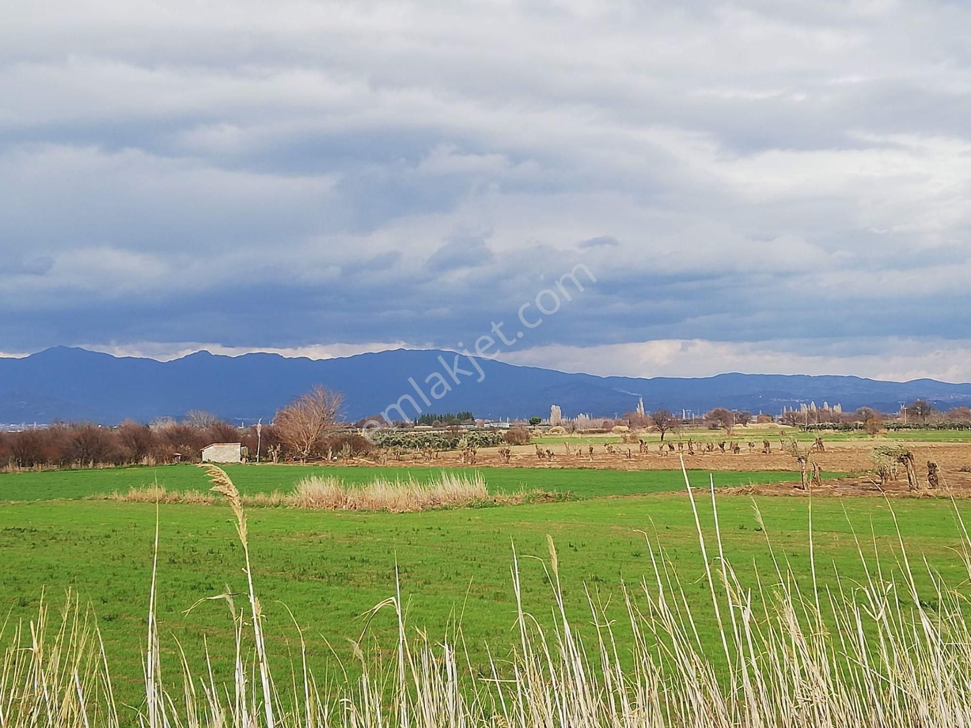 Artı Emlak'tan Burhaniye Börezli'de Satılık 11.000 M2 Tarla - Görsel 7