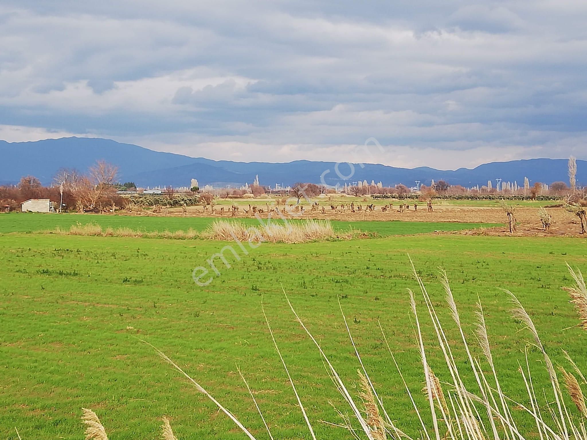 Artı Emlak'tan Burhaniye Börezli'de Satılık 11.000 M2 Tarla