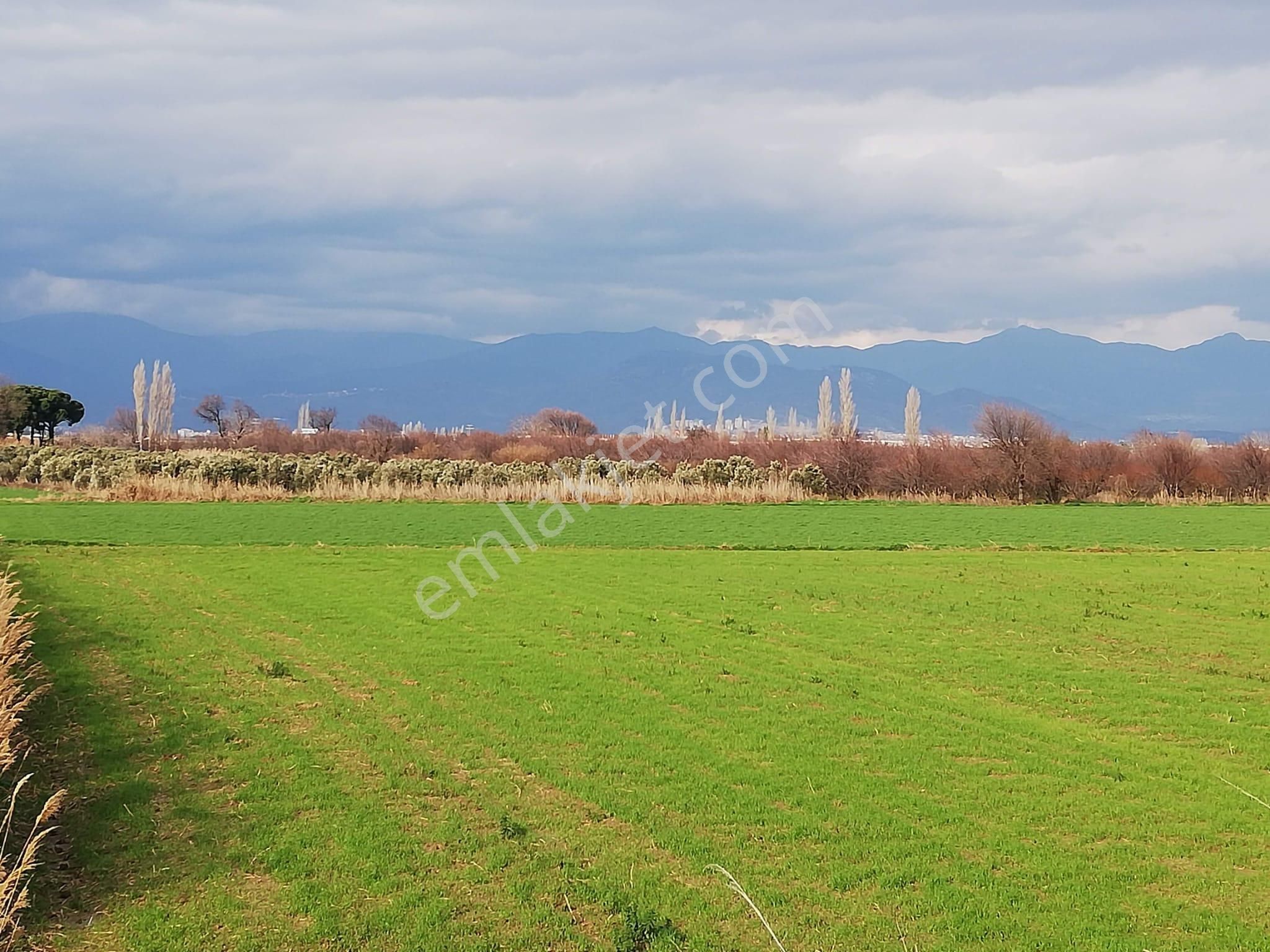 Artı Emlak'tan Burhaniye Börezli'de Satılık 11.000 M2 Tarla - Görsel 3