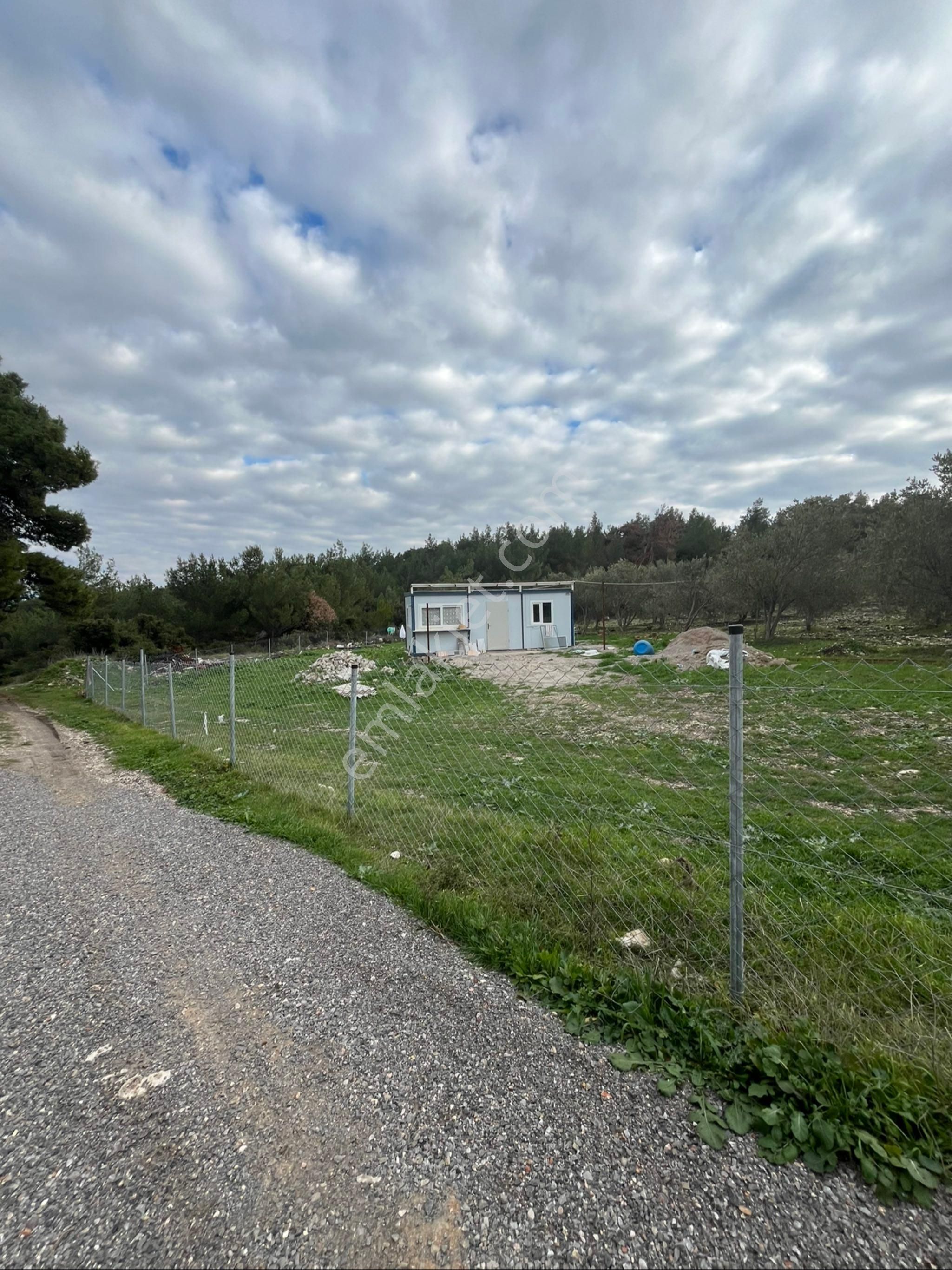 İzmir Urla Yağcılarda Satılık 250 M2 Bahçe - Görsel 17