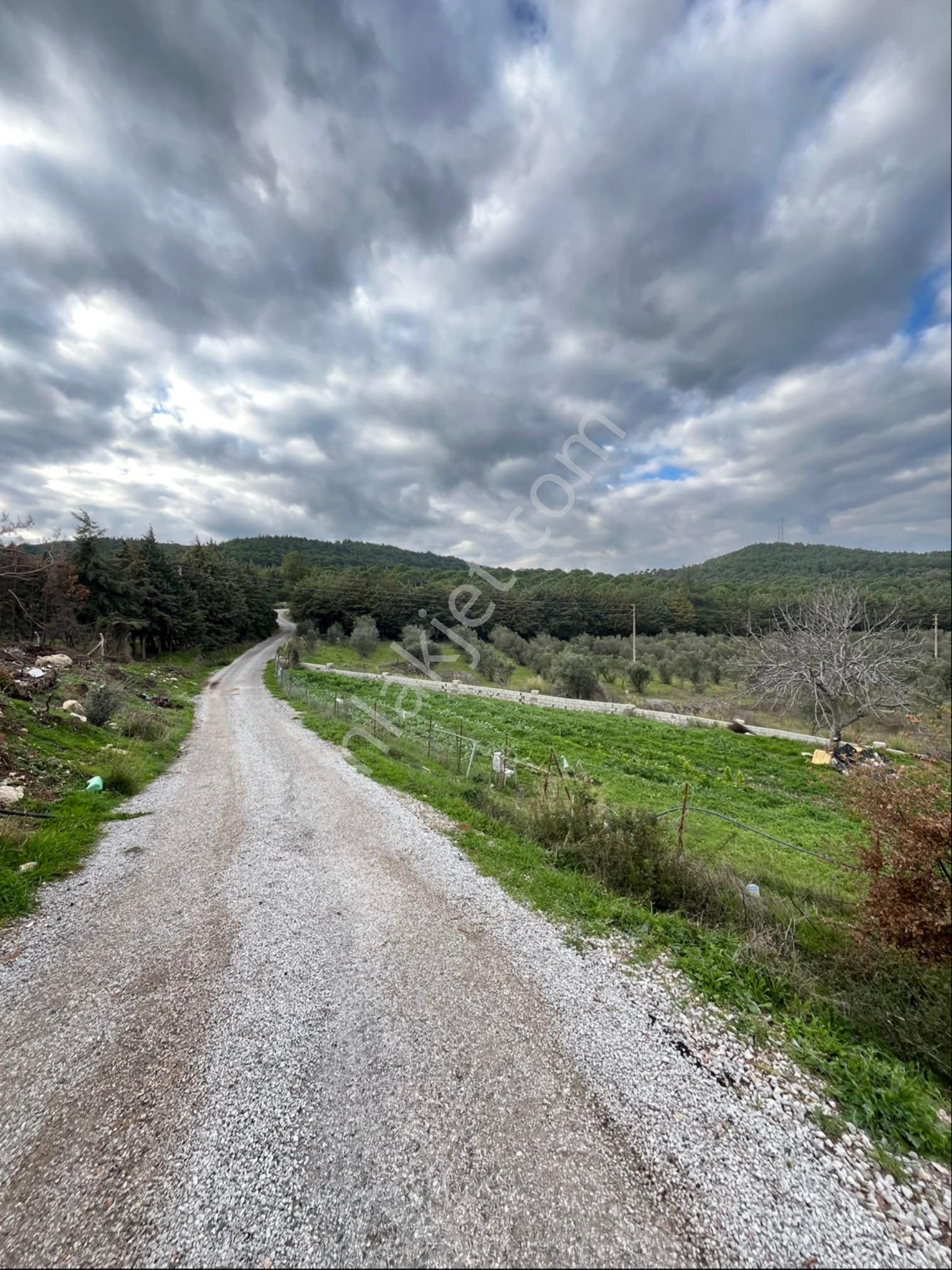 İzmir Urla Yağcılarda Satılık 250 M2 Bahçe - Görsel 18