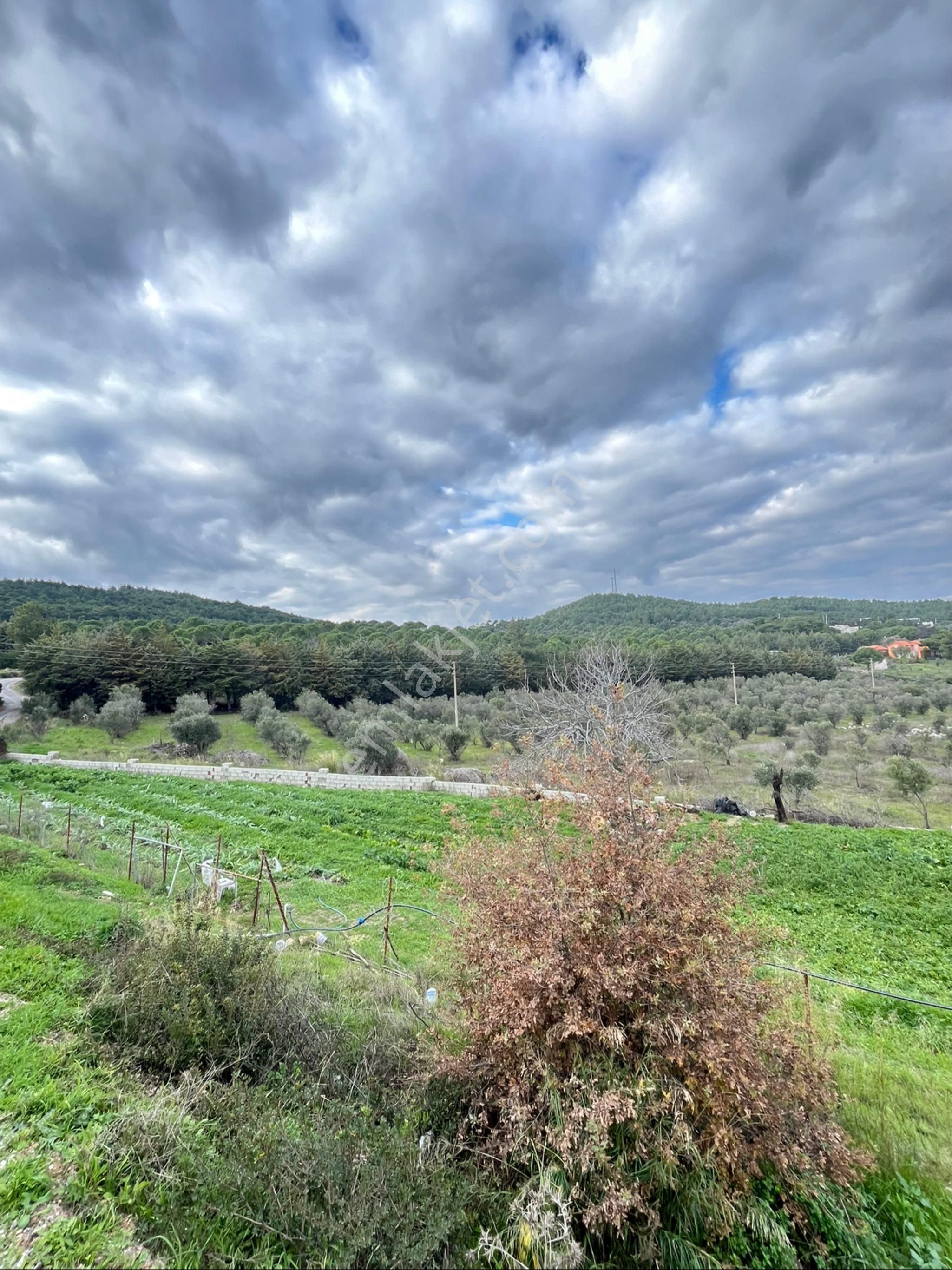 İzmir Urla Yağcılarda Satılık 250 M2 Bahçe - Görsel 20