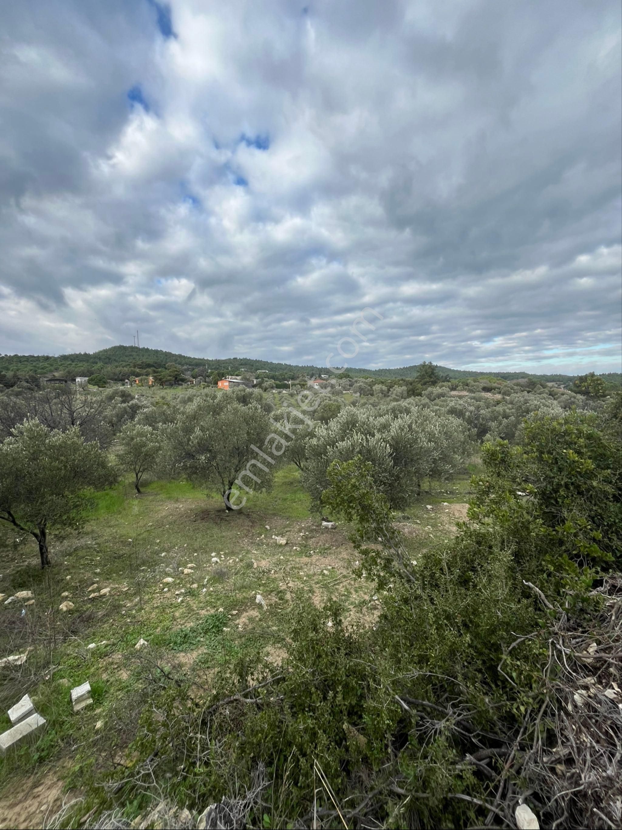 İzmir Urla Yağcılarda Satılık 250 M2 Bahçe - Görsel 10