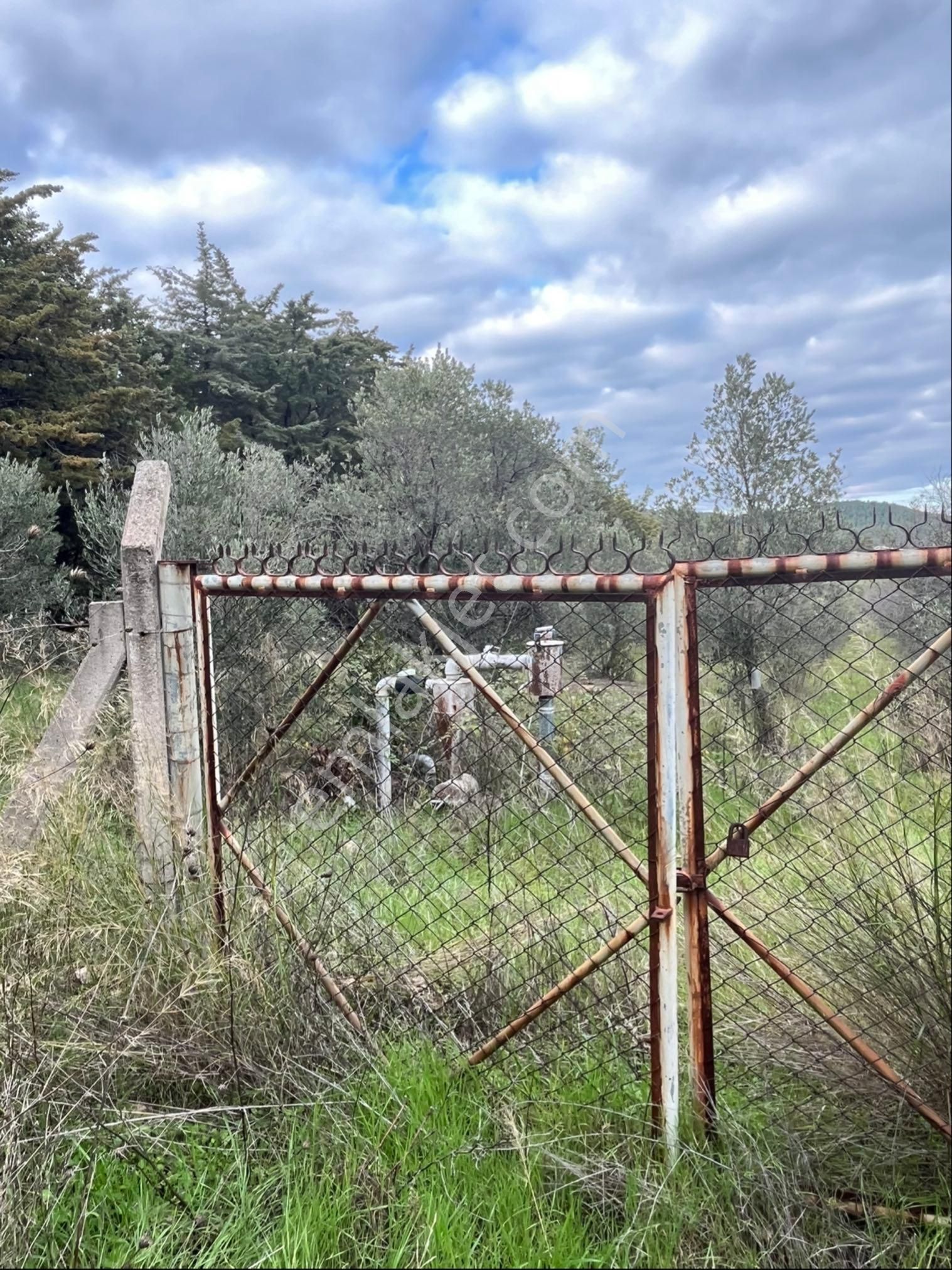 İzmir Urla Yağcılarda Satılık 250 M2 Bahçe - Görsel 21