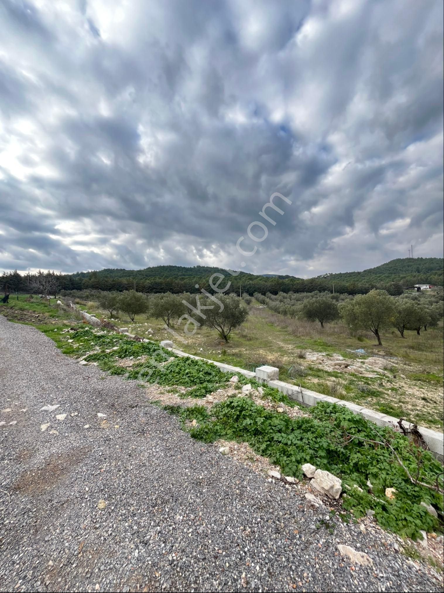 İzmir Urla Yağcılarda Satılık 250 M2 Bahçe - Görsel 9