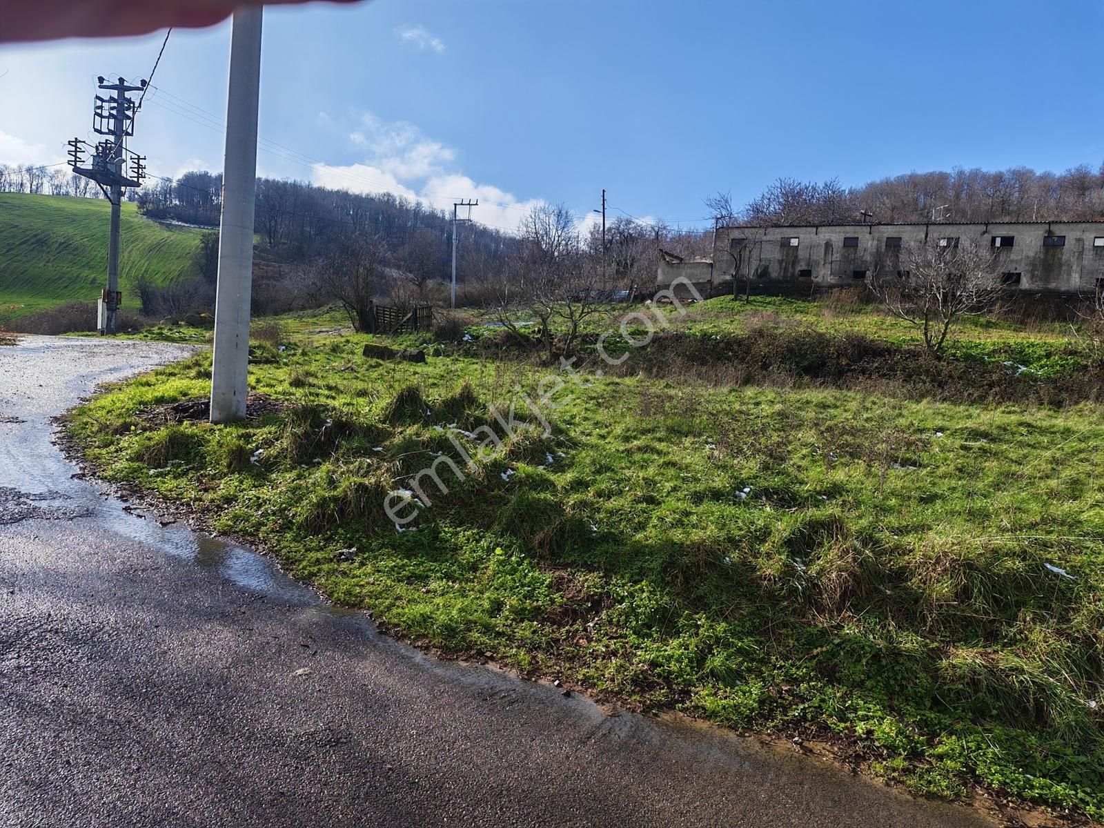 Acil 1.004 M2 Çiftlikalan, Doğa İçinde, Yola Cepheli İmarlı Arsa - Görsel 9