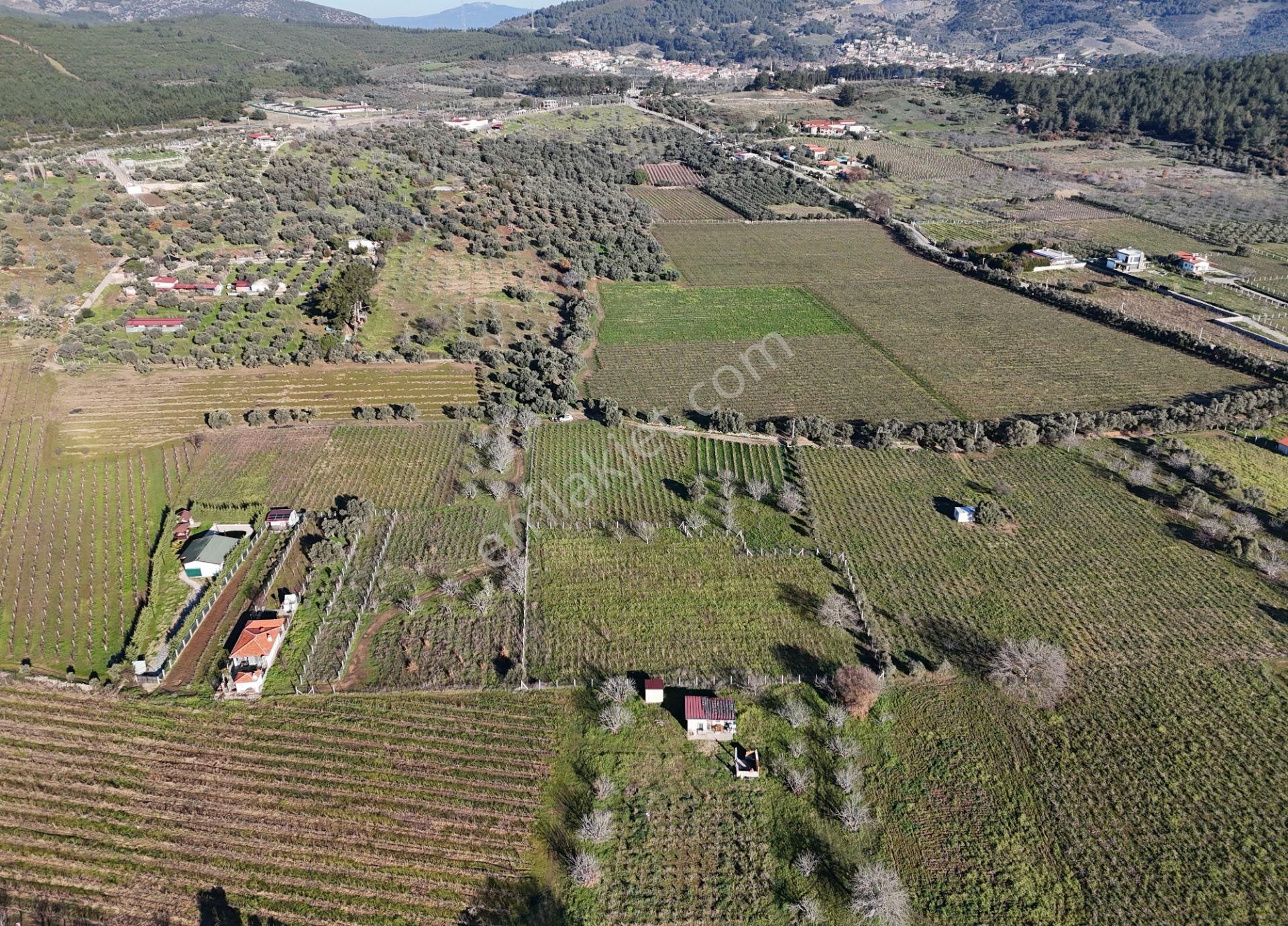 Kuşadası Burgaz Yedibilgeler Mevkiinde Tek Tapu 3.764 M² Yatırımlık Tarla - Görsel 6