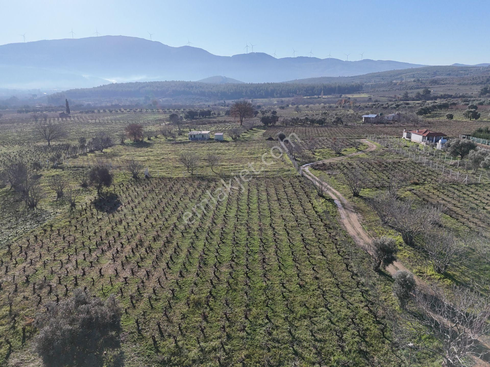 Kuşadası Burgaz Yedibilgeler Mevkiinde Tek Tapu 3.764 M² Yatırımlık Tarla - Görsel 7