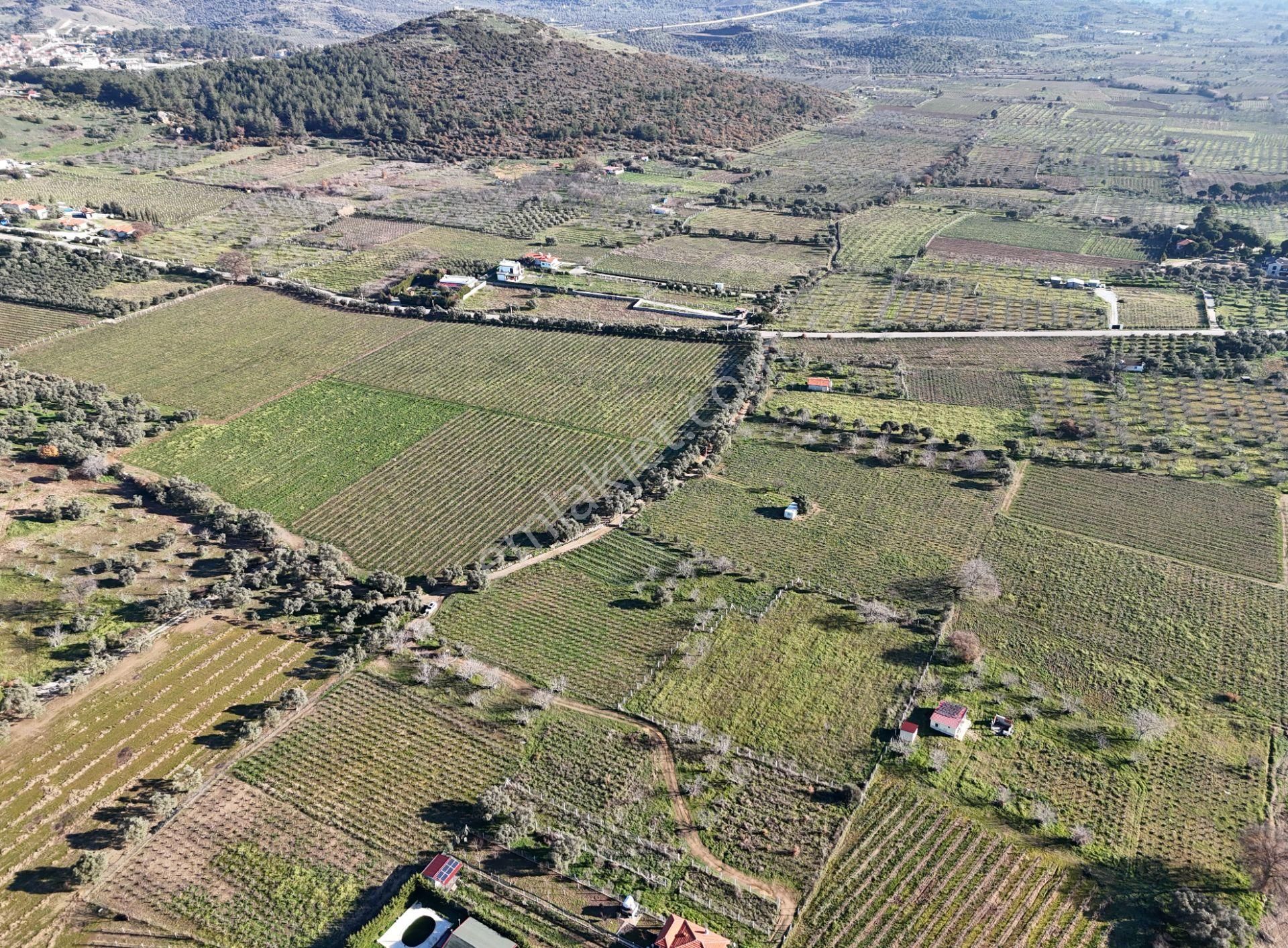Kuşadası Burgaz Yedibilgeler Mevkiinde Tek Tapu 3.764 M² Yatırımlık Tarla - Görsel 5