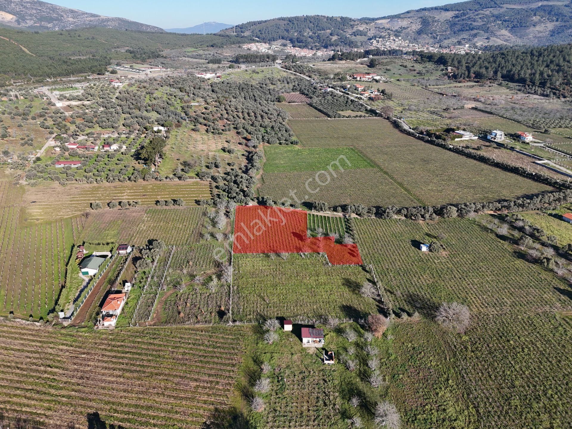 Kuşadası Burgaz Yedibilgeler Mevkiinde Tek Tapu 3.764 M² Yatırımlık Tarla