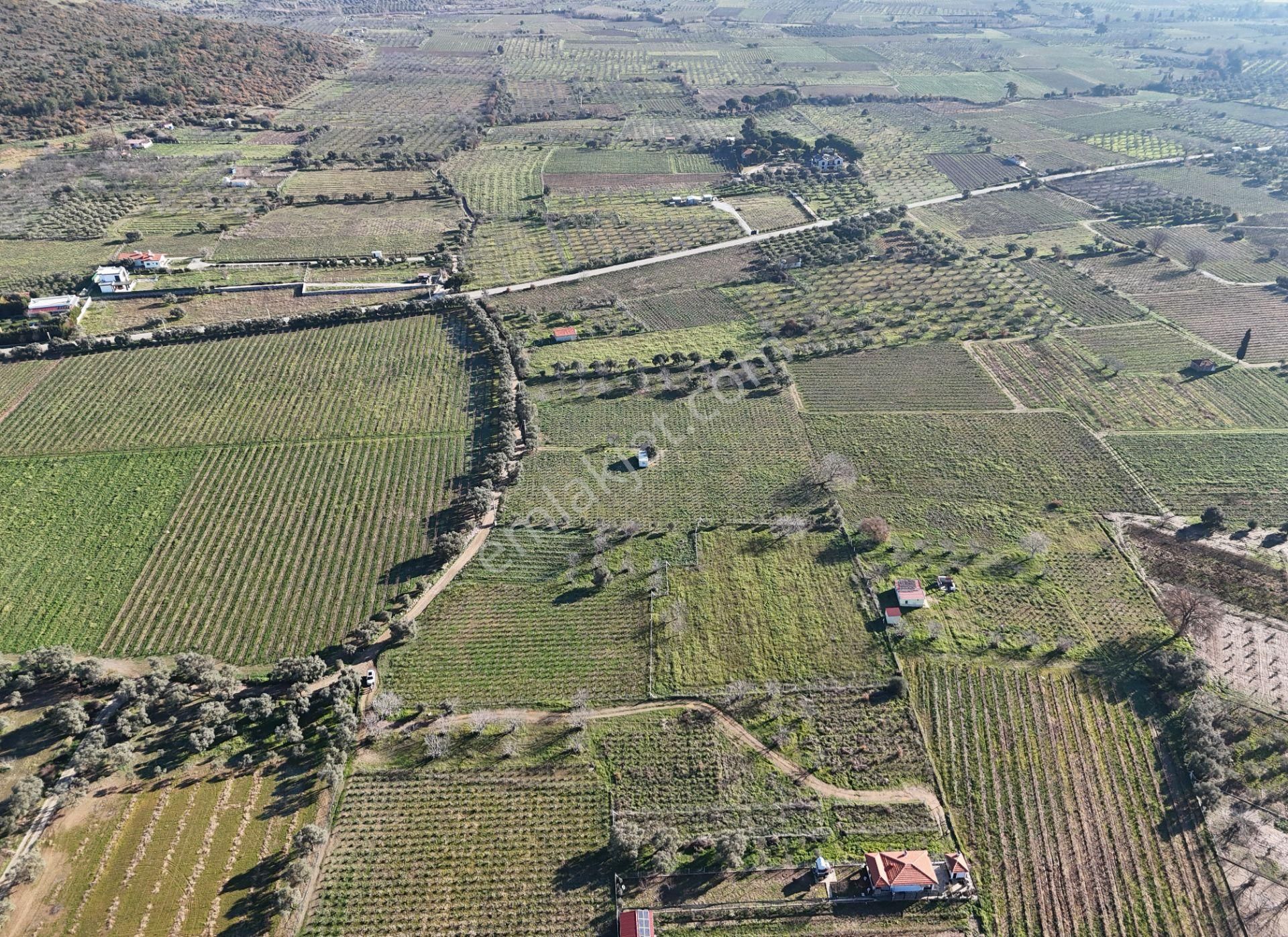 Kuşadası Burgaz Yedibilgeler Mevkiinde Tek Tapu 3.764 M² Yatırımlık Tarla - Görsel 4