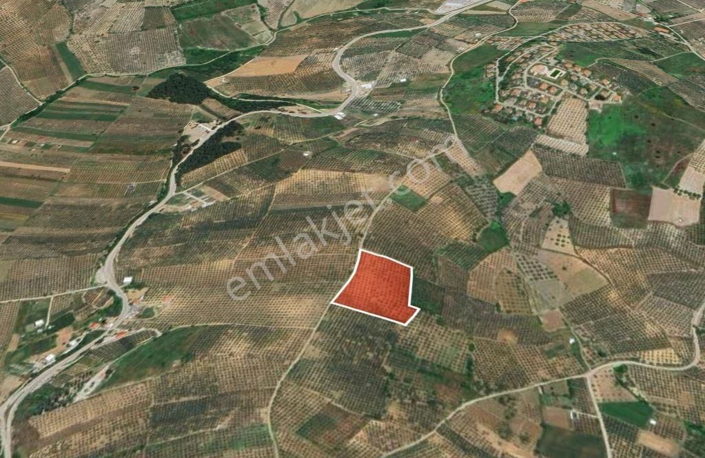 Mudanya Mürsel'de İmar Yakını 8.200m² Satılık Arazi