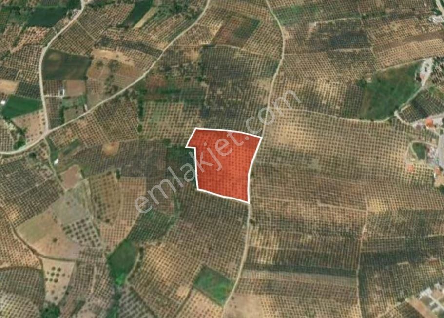 Mudanya Mürsel'de İmar Yakını 8.200m² Satılık Arazi - Görsel 7