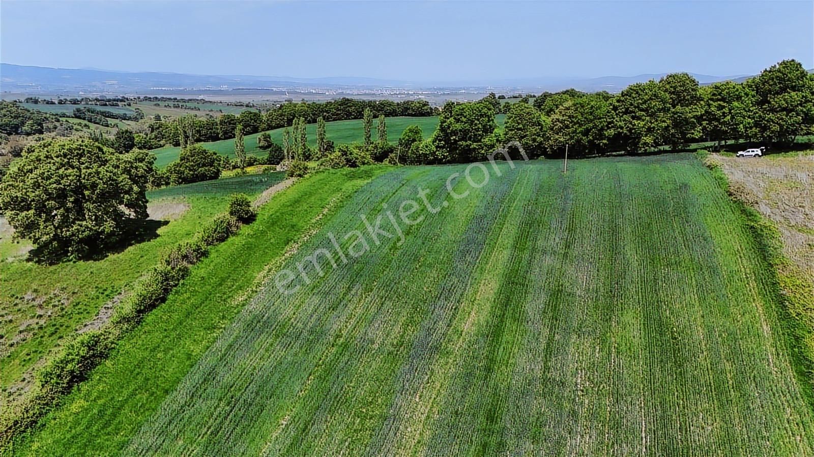 9.650 M2 Çiftlik, Bağ-bahçe, Hobi Bahçe, Kadastro Yola Cepheli - Görsel 17
