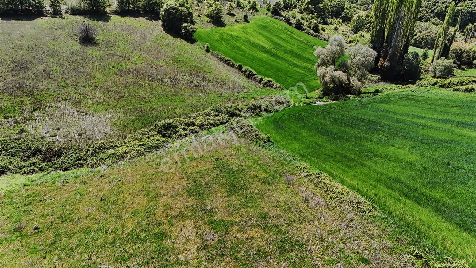 9.650 M2 Çiftlik, Bağ-bahçe, Hobi Bahçe, Kadastro Yola Cepheli - Görsel 19