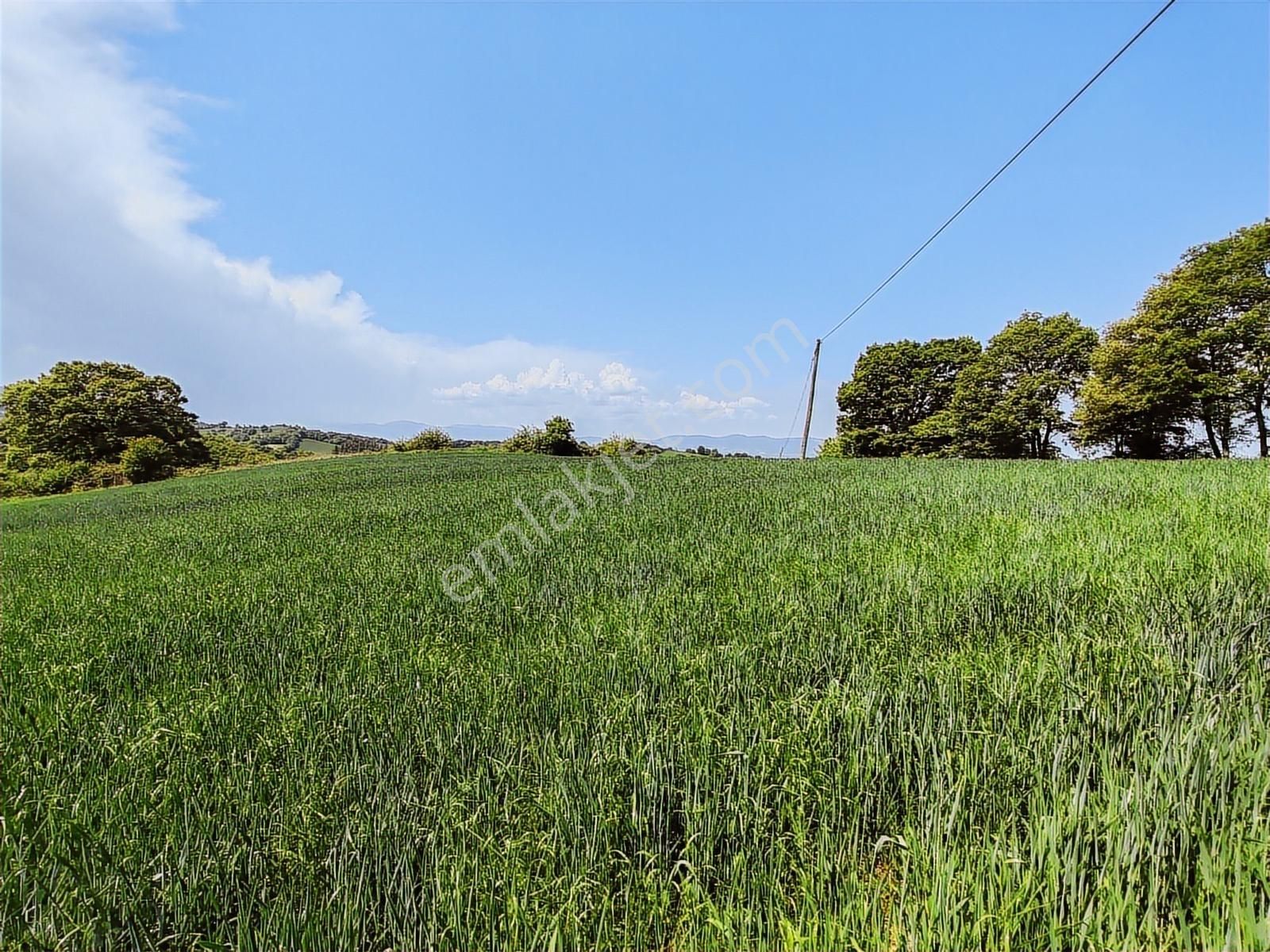 9.650 M2 Çiftlik, Bağ-bahçe, Hobi Bahçe, Kadastro Yola Cepheli - Görsel 18