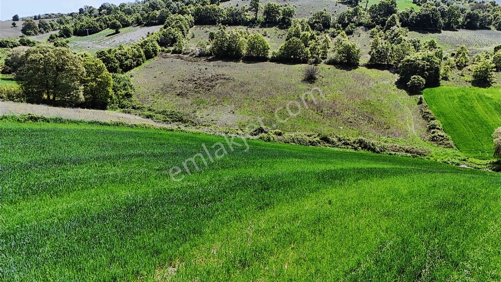 9.650 M2 Çiftlik, Bağ-bahçe, Hobi Bahçe, Kadastro Yola Cepheli - Görsel 15