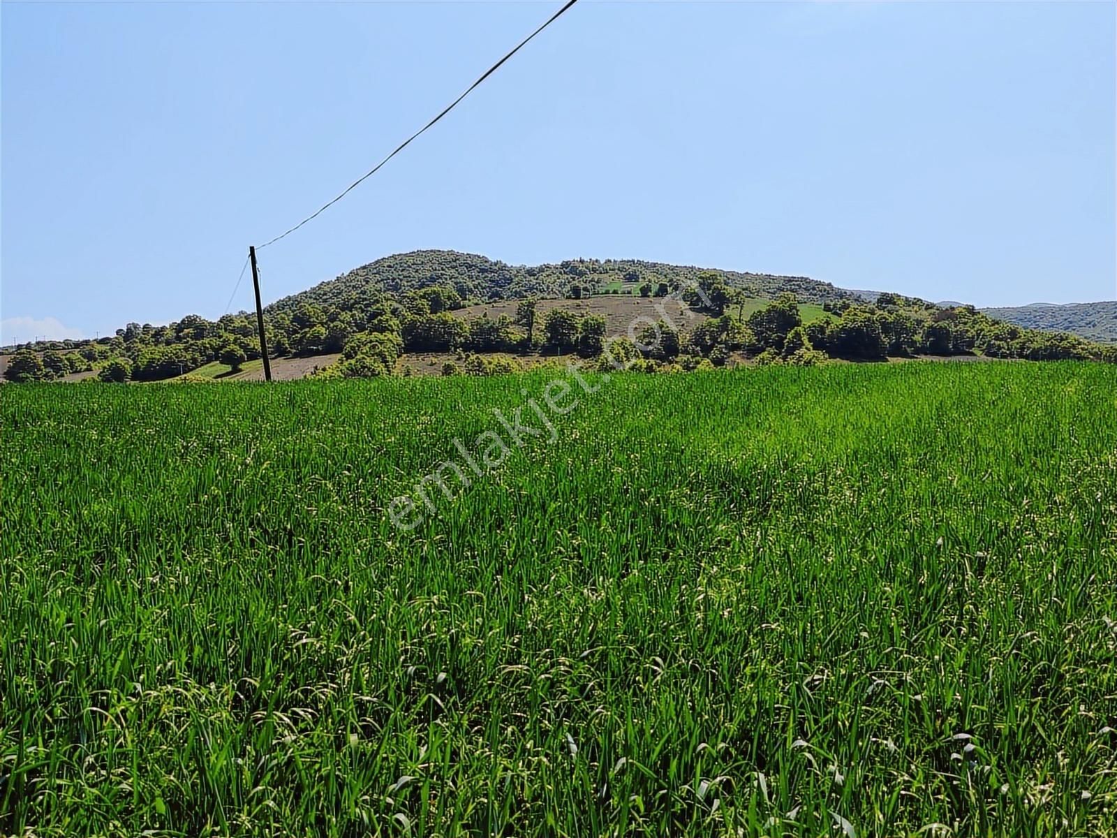 9.650 M2 Çiftlik, Bağ-bahçe, Hobi Bahçe, Kadastro Yola Cepheli - Görsel 26