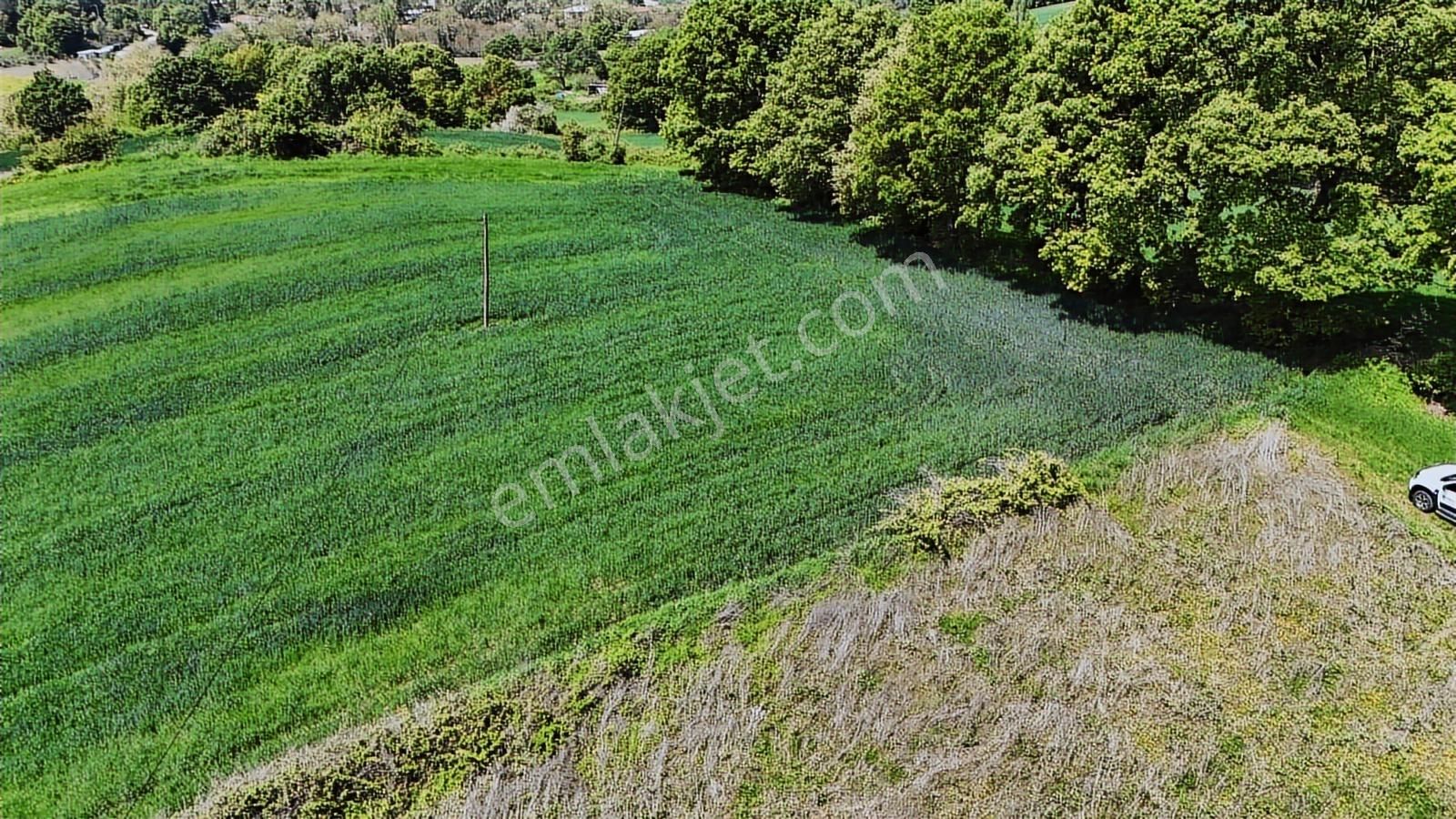 9.650 M2 Çiftlik, Bağ-bahçe, Hobi Bahçe, Kadastro Yola Cepheli - Görsel 27