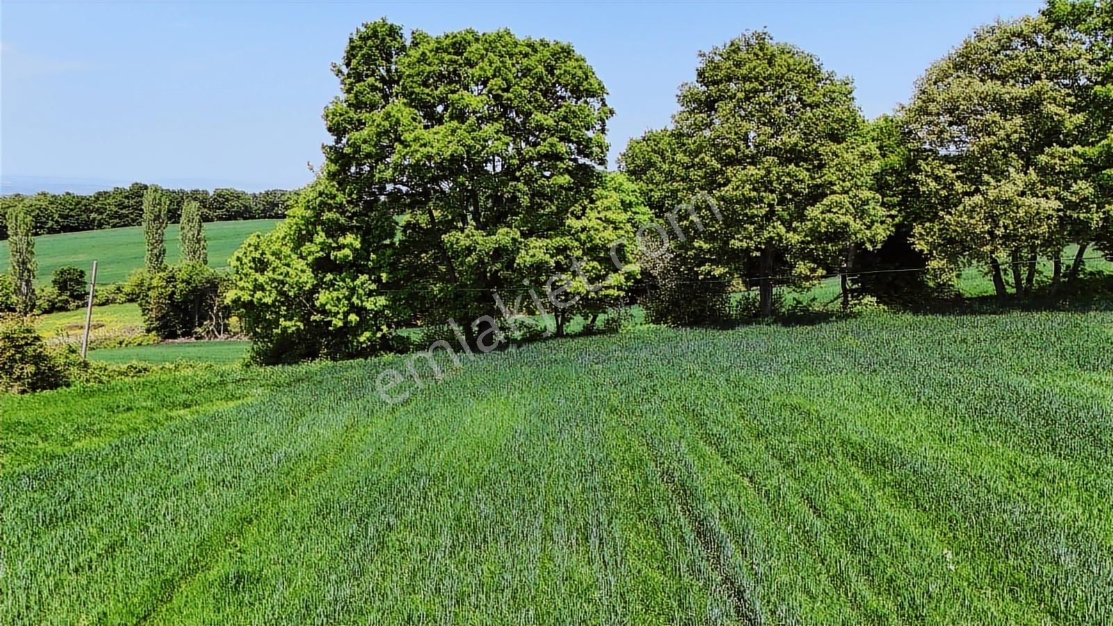 9.650 M2 Çiftlik, Bağ-bahçe, Hobi Bahçe, Kadastro Yola Cepheli - Görsel 30