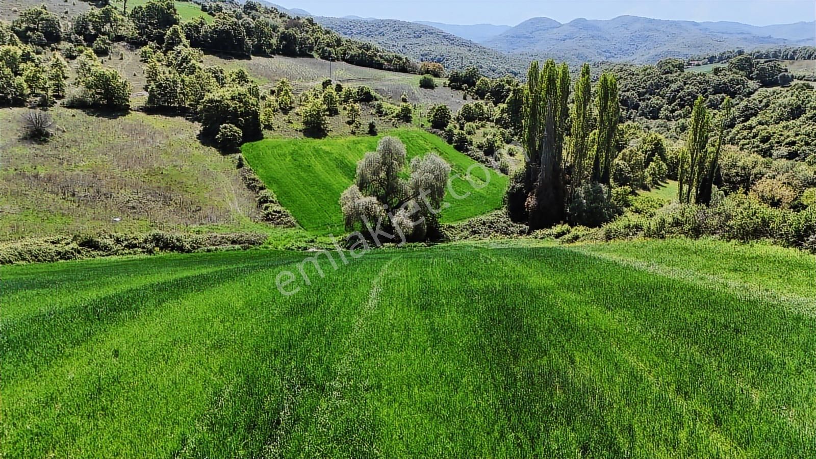 9.650 M2 Çiftlik, Bağ-bahçe, Hobi Bahçe, Kadastro Yola Cepheli - Görsel 24