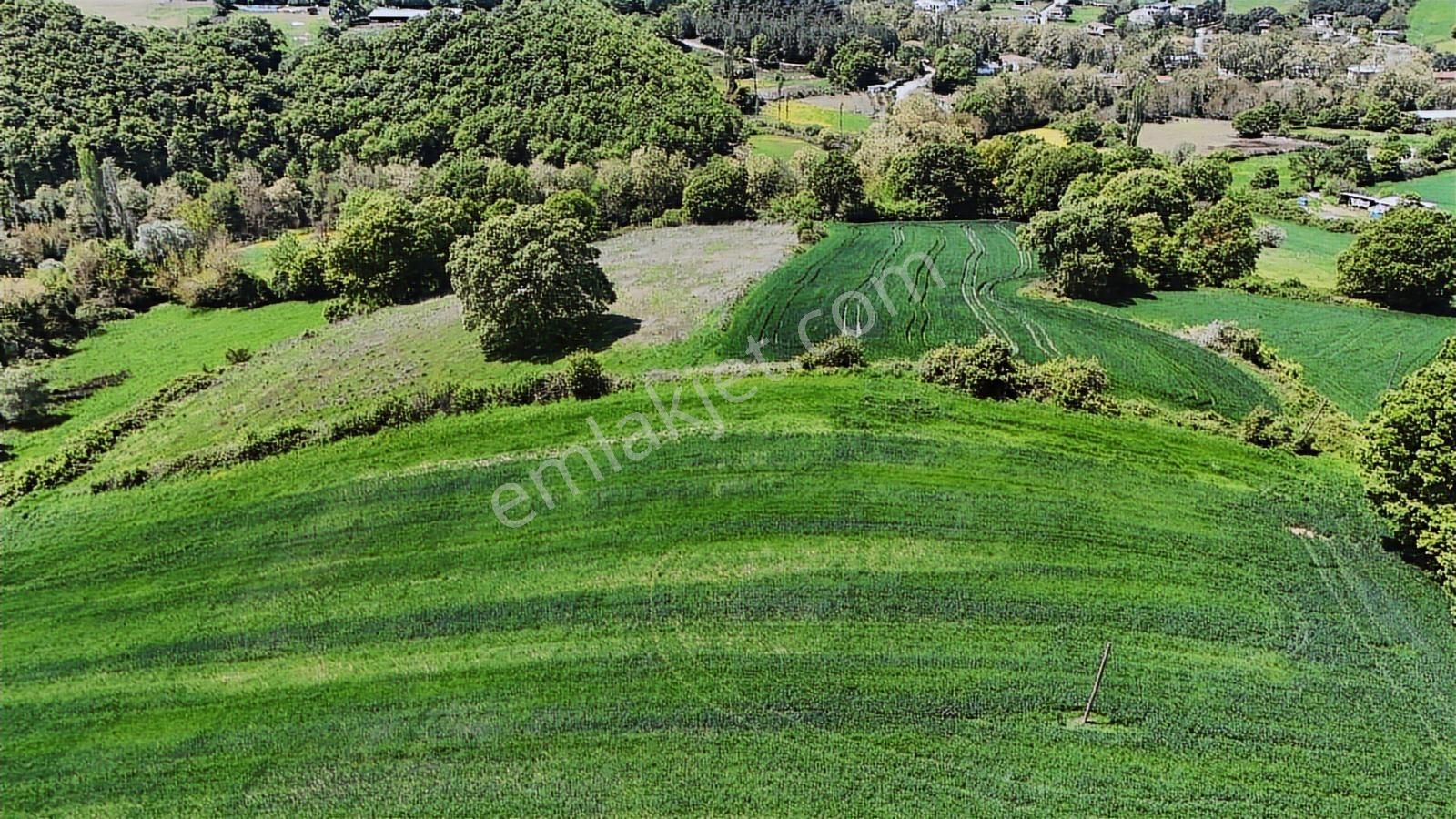 9.650 M2 Çiftlik, Bağ-bahçe, Hobi Bahçe, Kadastro Yola Cepheli - Görsel 2
