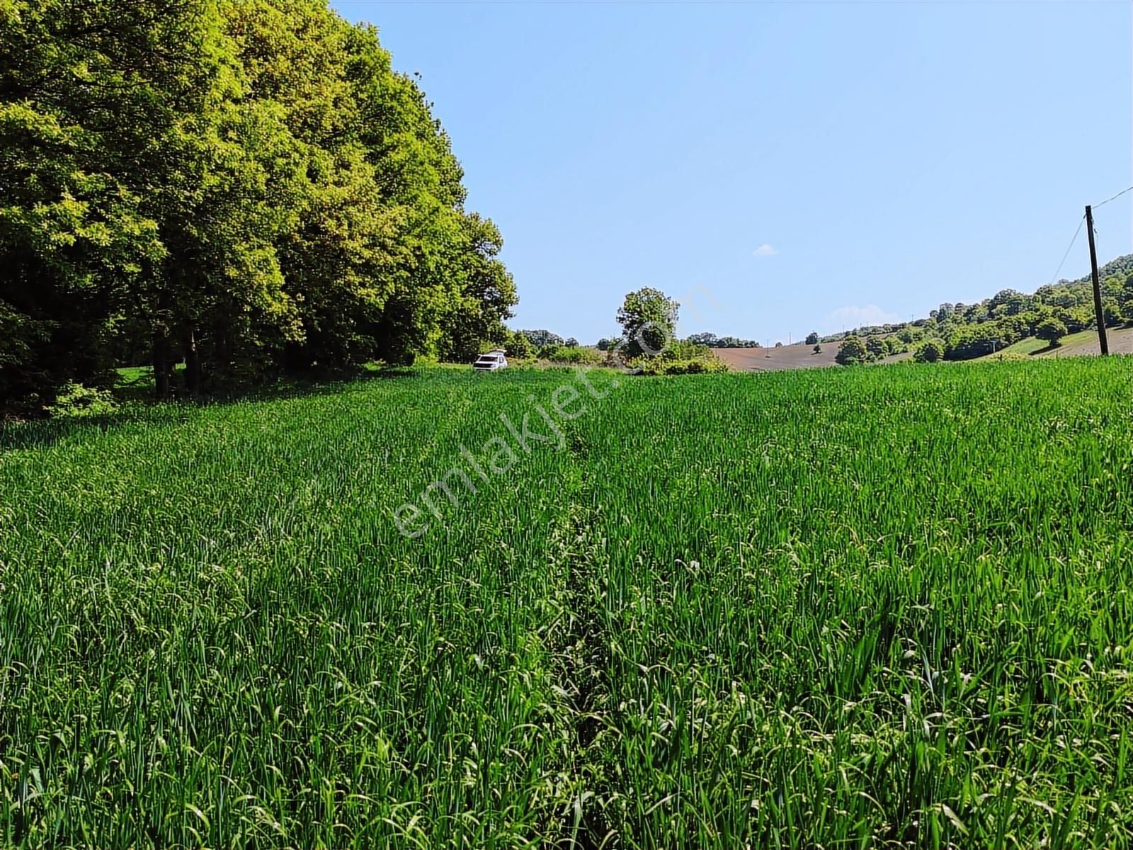 9.650 M2 Çiftlik, Bağ-bahçe, Hobi Bahçe, Kadastro Yola Cepheli - Görsel 7