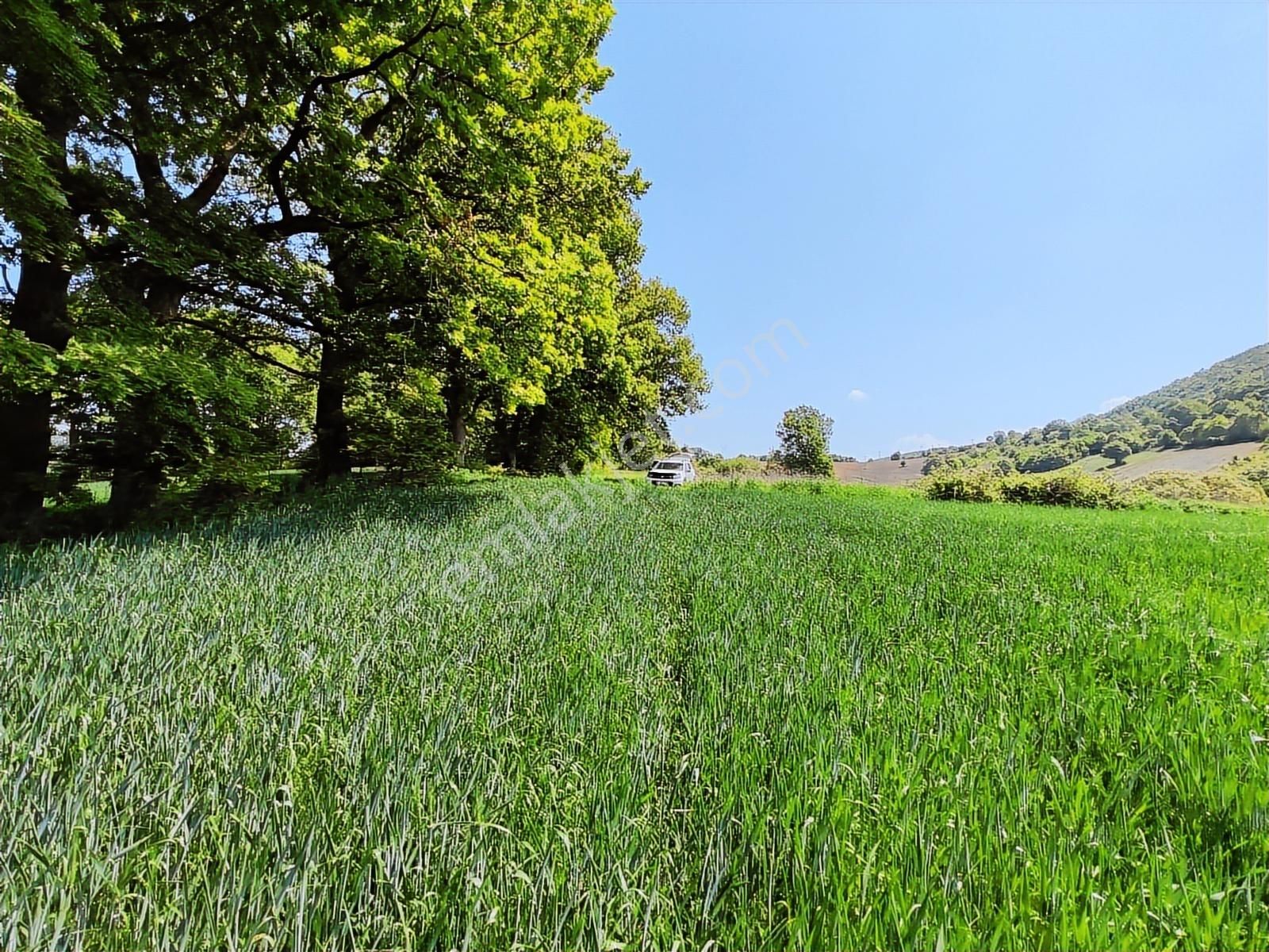 9.650 M2 Çiftlik, Bağ-bahçe, Hobi Bahçe, Kadastro Yola Cepheli - Görsel 4