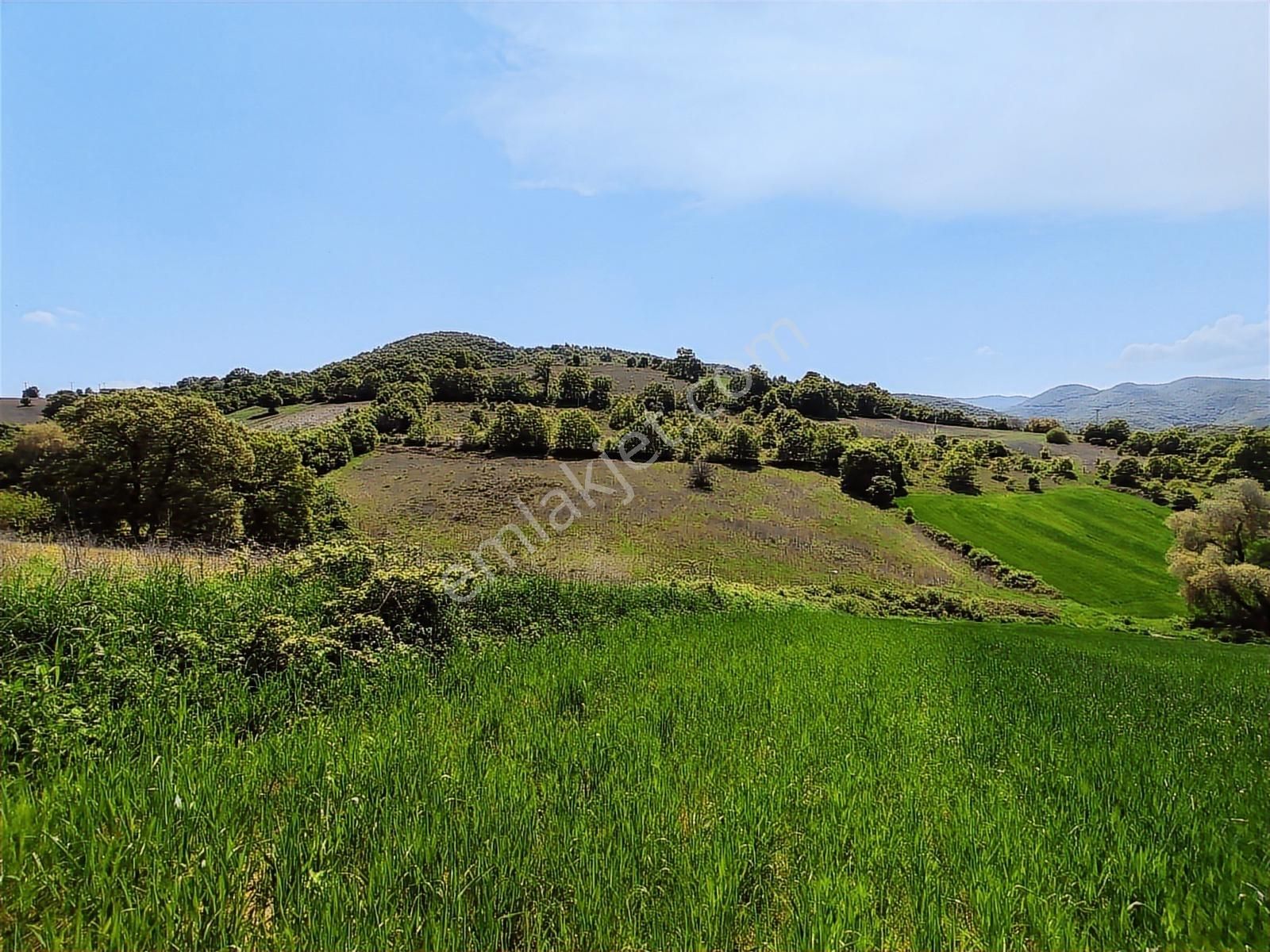 9.650 M2 Çiftlik, Bağ-bahçe, Hobi Bahçe, Kadastro Yola Cepheli - Görsel 11
