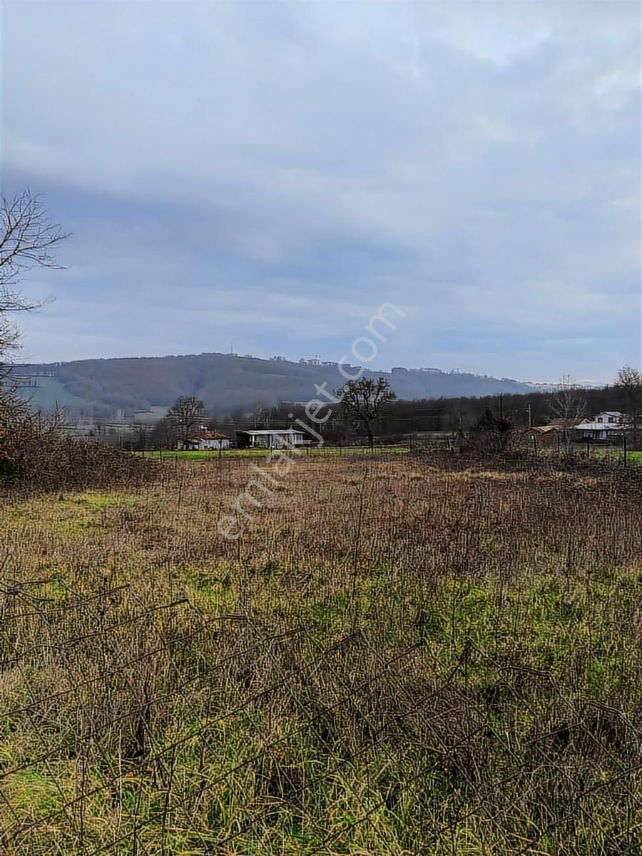 Arazi Uzmanı Recep Davutoğlu'ndan Harika Konumda Tarla - Görsel 5
