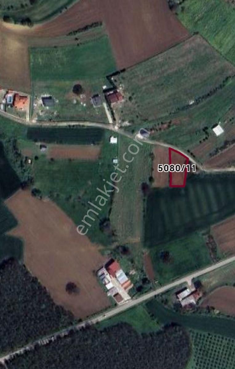 Arazi Uzmanı Recep Davutoğlu'ndan Harika Konumda Tarla - Görsel 7