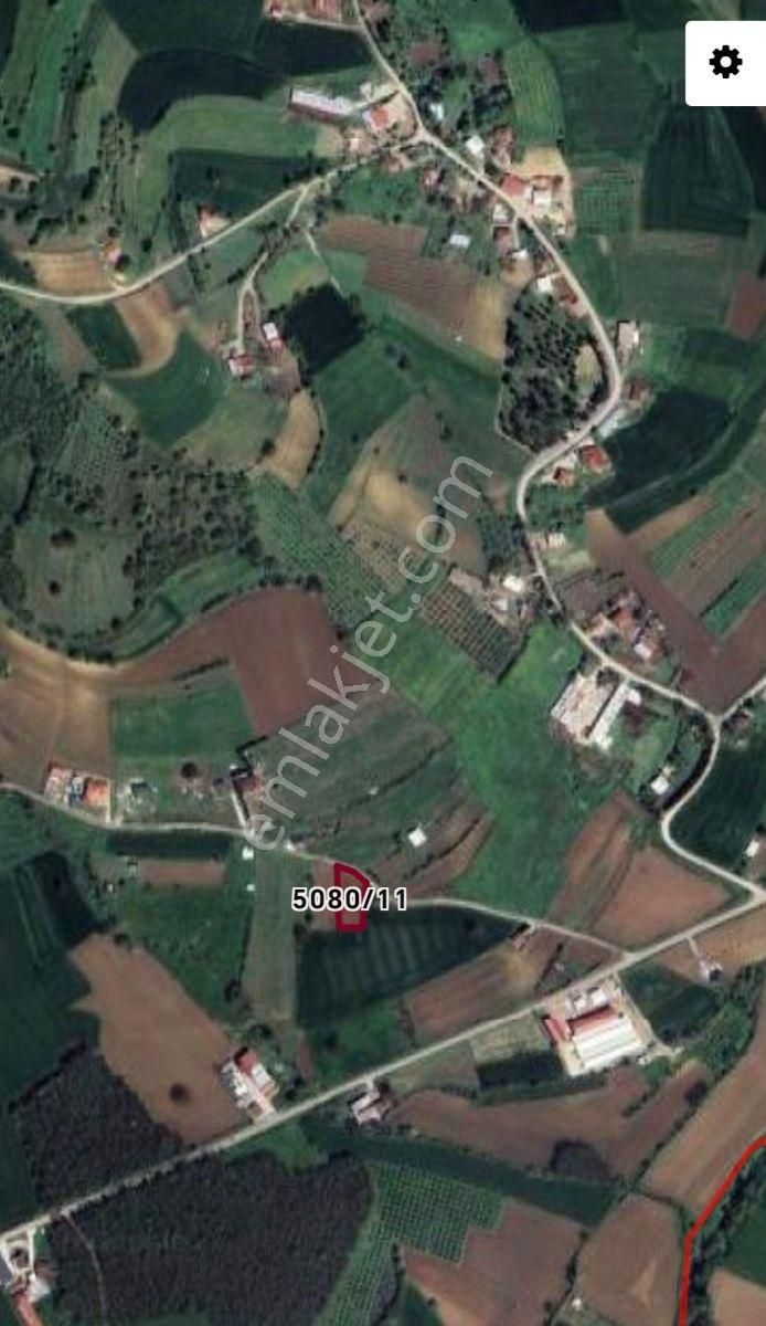 Arazi Uzmanı Recep Davutoğlu'ndan Harika Konumda Tarla - Görsel 4