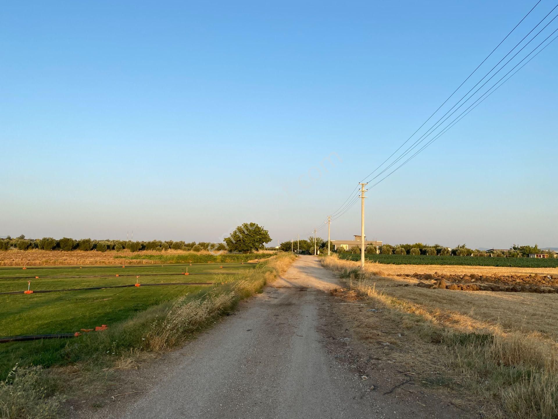 Menderes'te Net 500 M2 Yapı Kayıt Belgeli Arsa (açıklamayı Okuyun) - Görsel 5