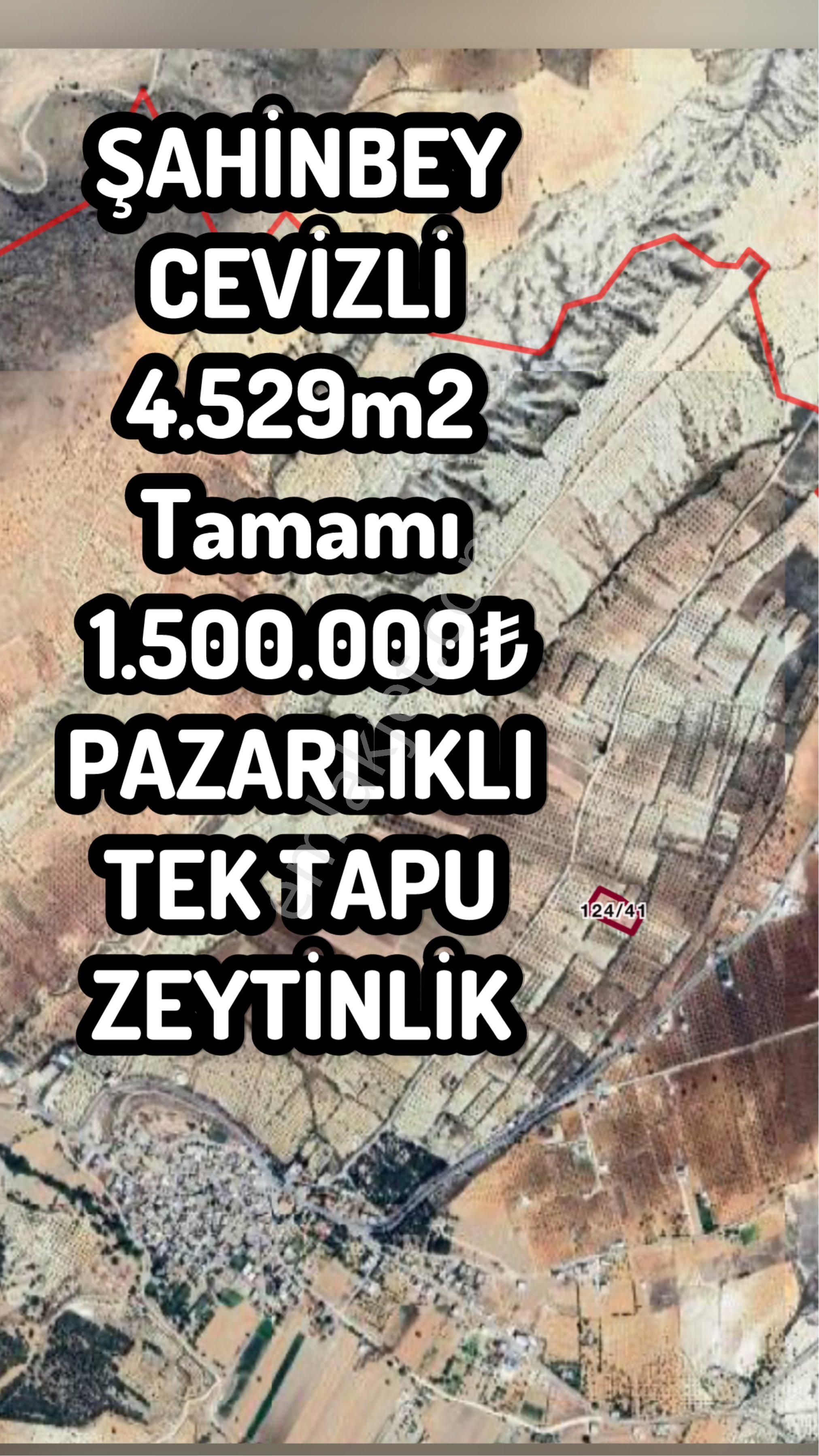 Şahinbeycevizli4.529 M²1.500.000₺pazarlıklı