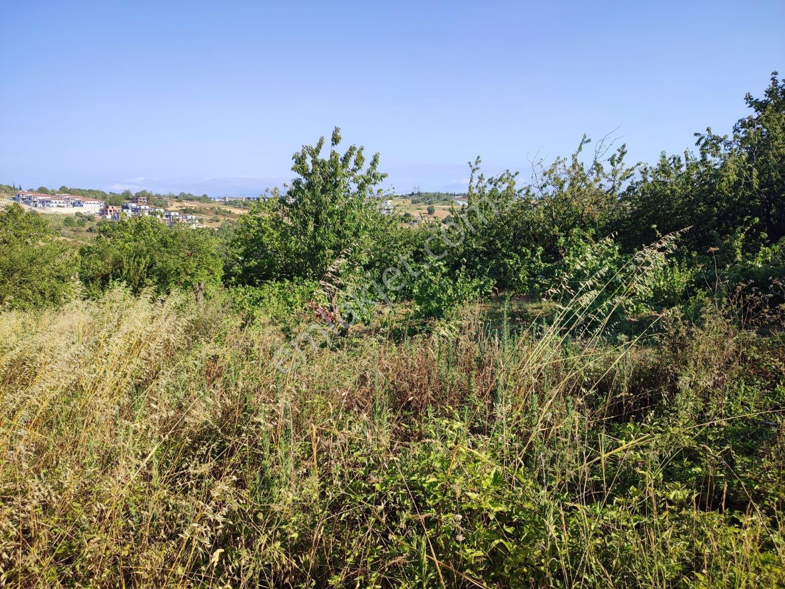 İzmit Kabaoğlu Hakim Konum Manzaralı 1.200 M² Villa İmarlı Arsa - Görsel 13