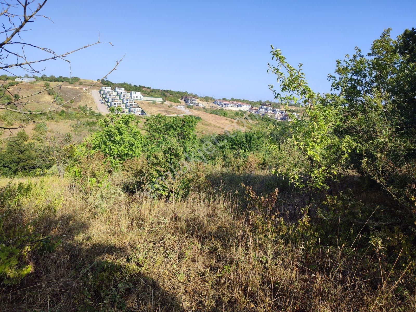 İzmit Kabaoğlu Hakim Konum Manzaralı 1.200 M² Villa İmarlı Arsa - Görsel 8