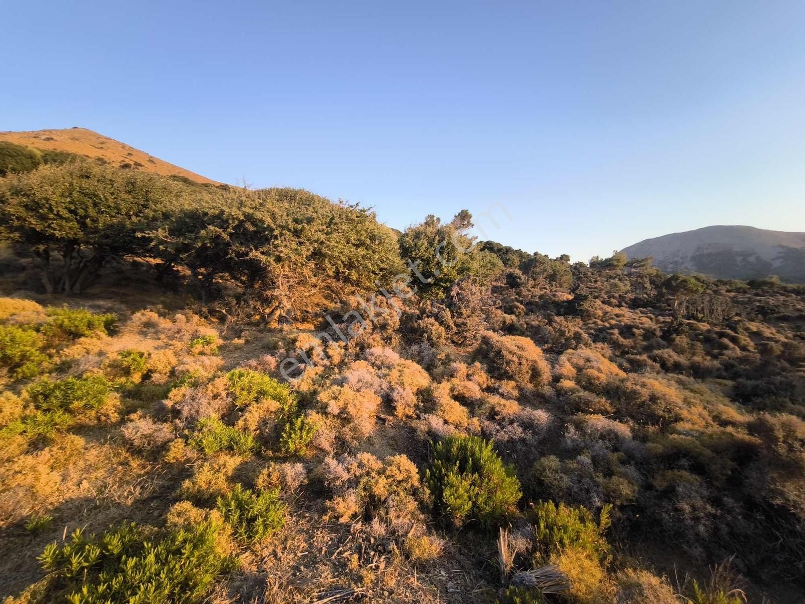 İmroz Emlak'tan Mesadi Mevkii'de 496 M2 Deniz Manzaralı Arazi - Görsel 12