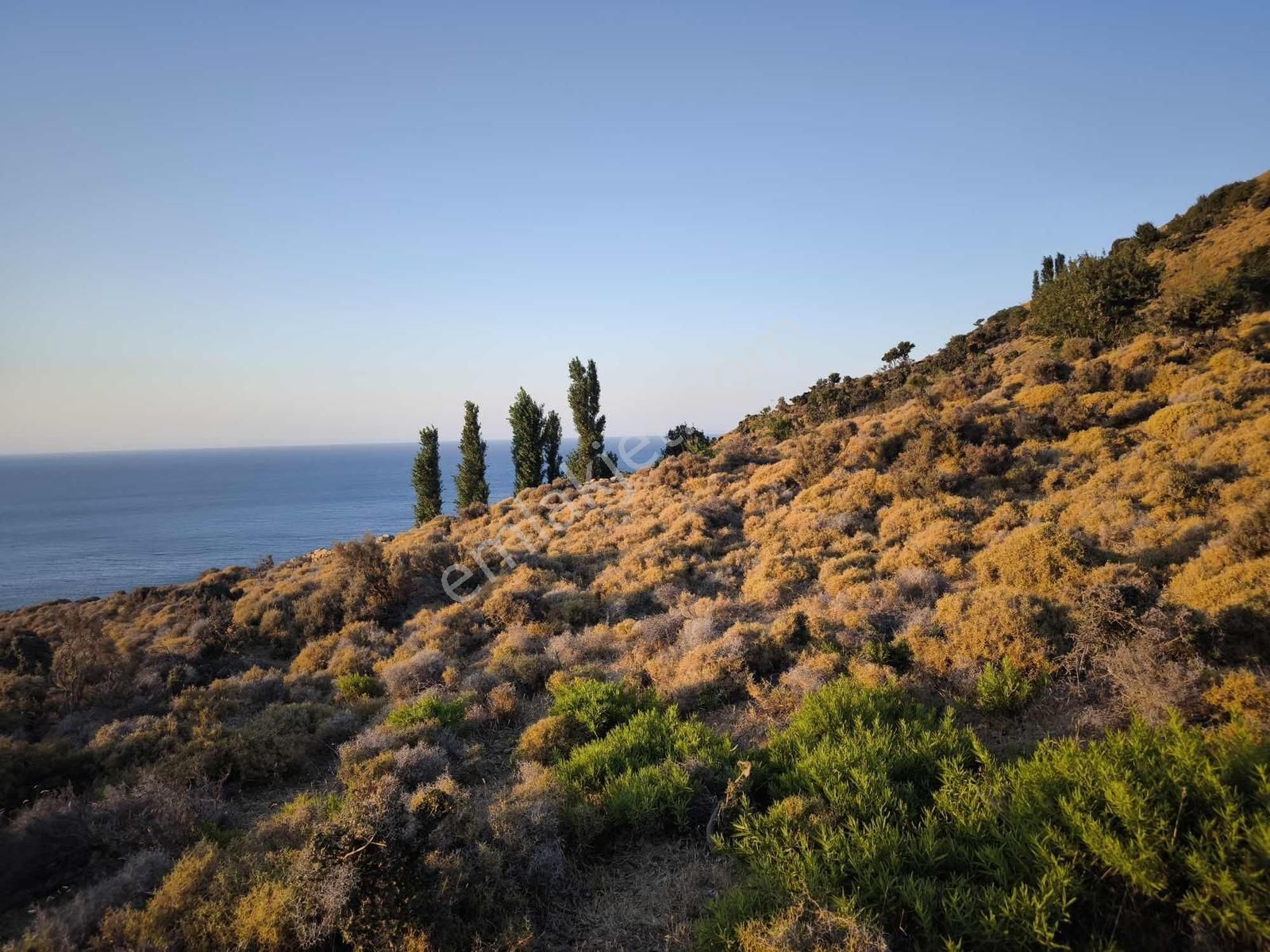 İmroz Emlak'tan Mesadi Mevkii'de 496 M2 Deniz Manzaralı Arazi - Görsel 8
