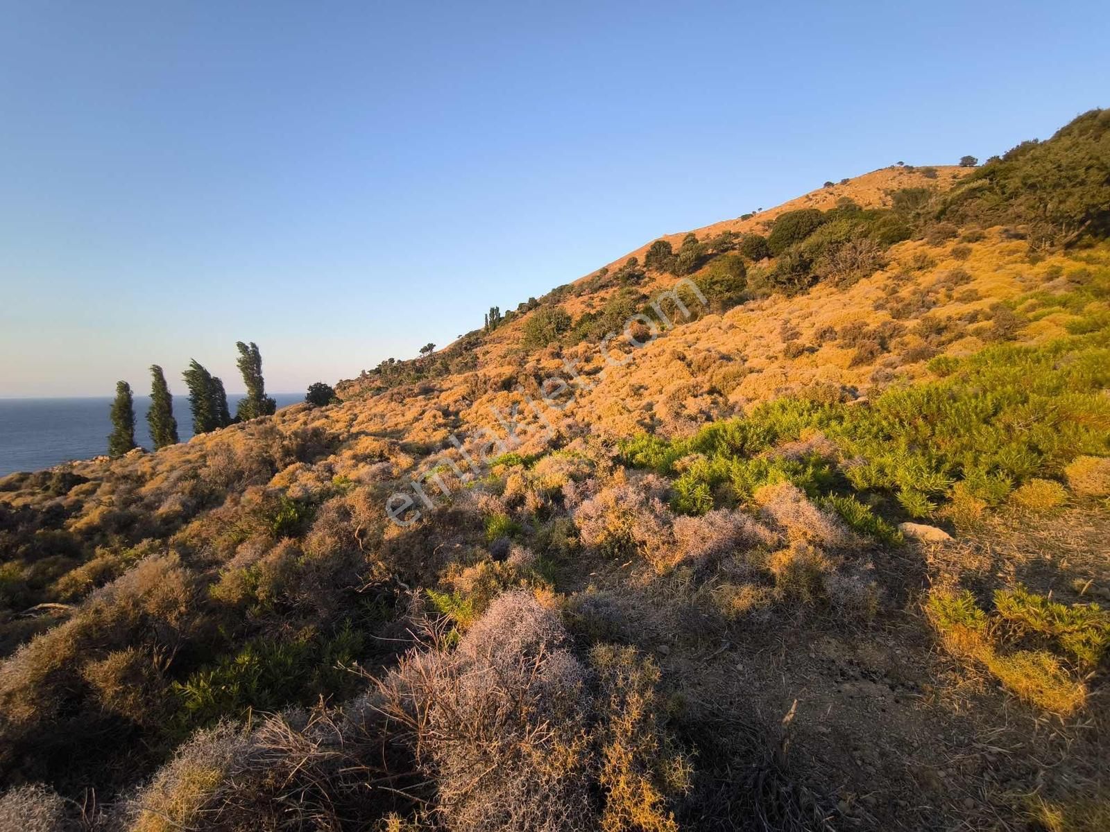 İmroz Emlak'tan Mesadi Mevkii'de 496 M2 Deniz Manzaralı Arazi - Görsel 11